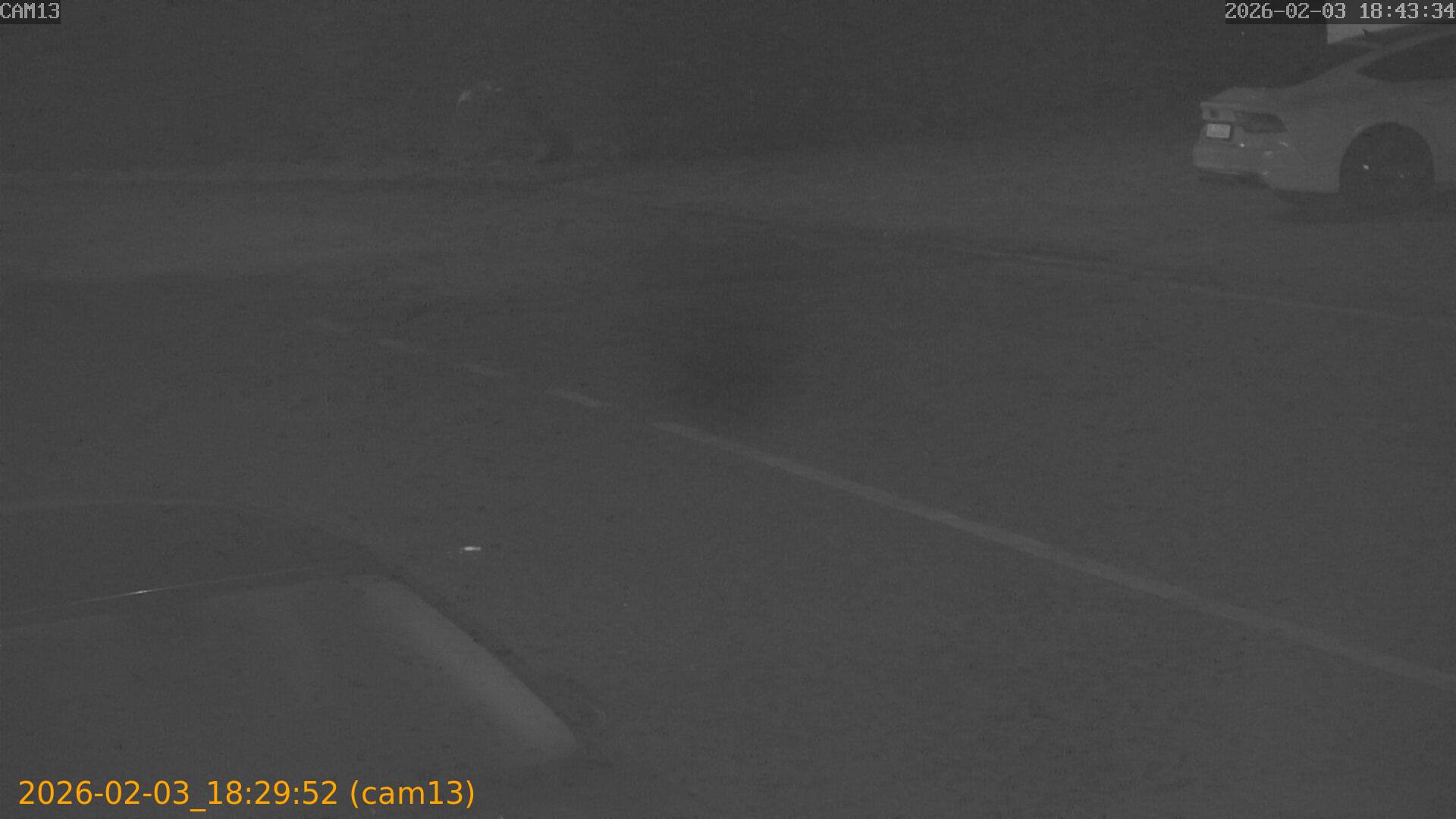 thumbnail_20260203182952