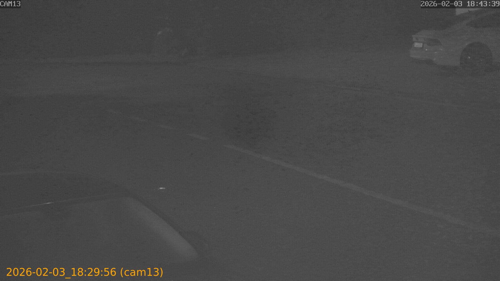 thumbnail_20260203182956