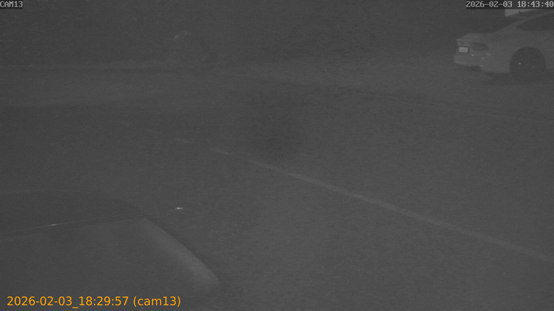 thumbnail_20260203182957