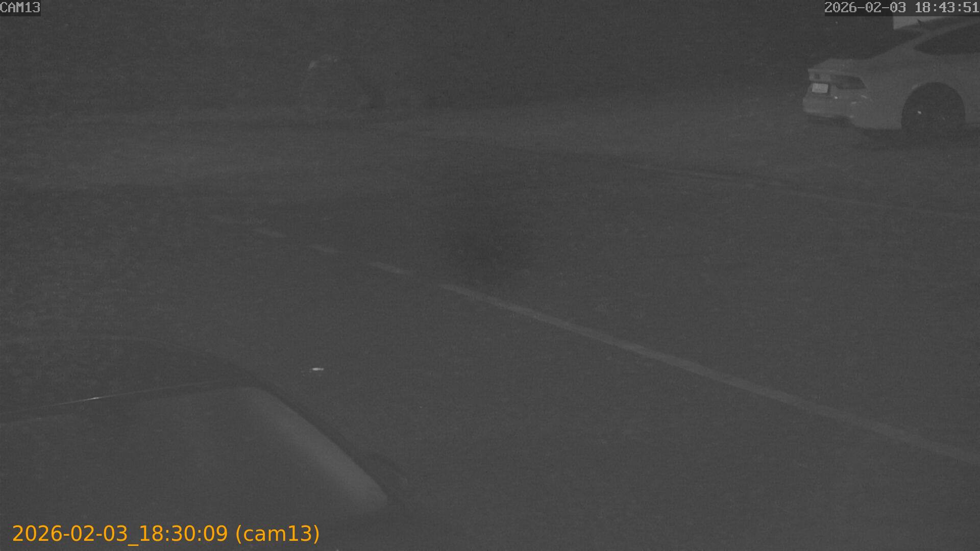 thumbnail_20260203183009