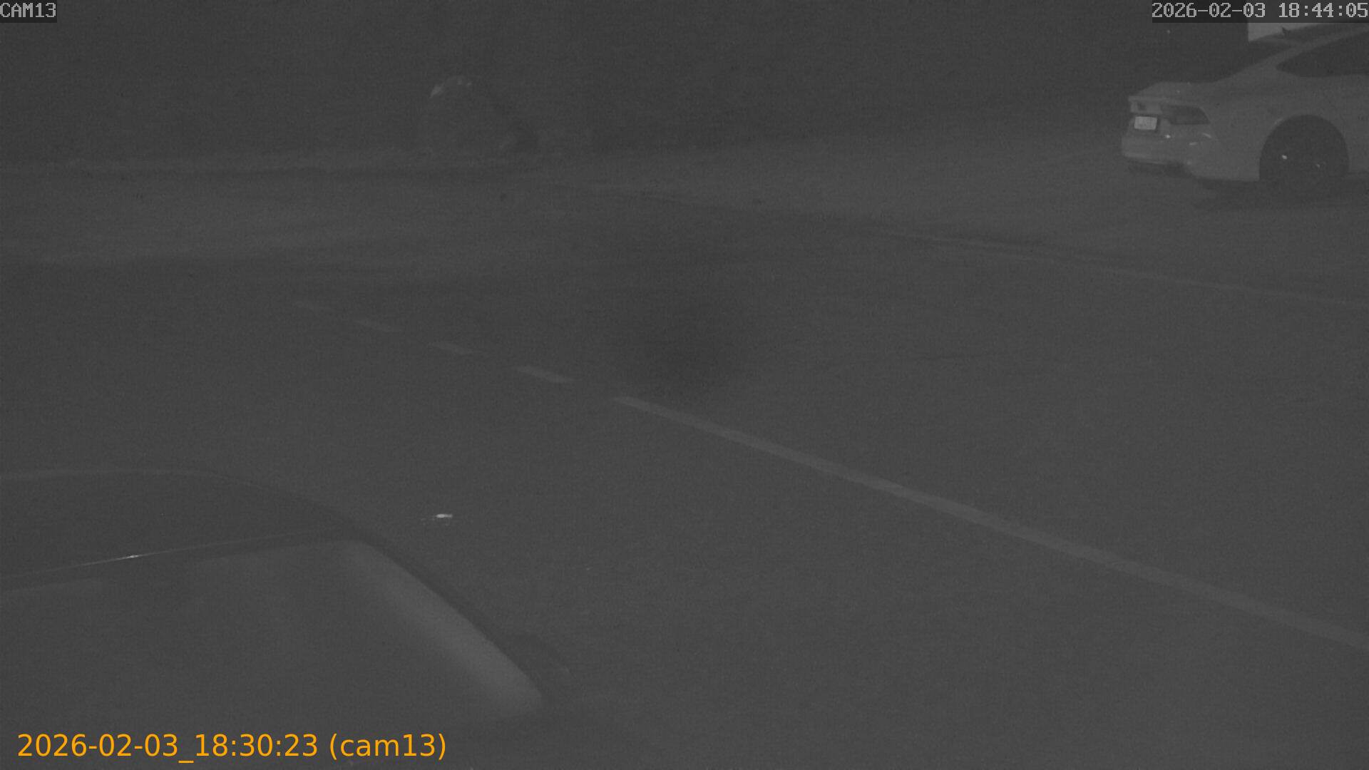 thumbnail_20260203183023