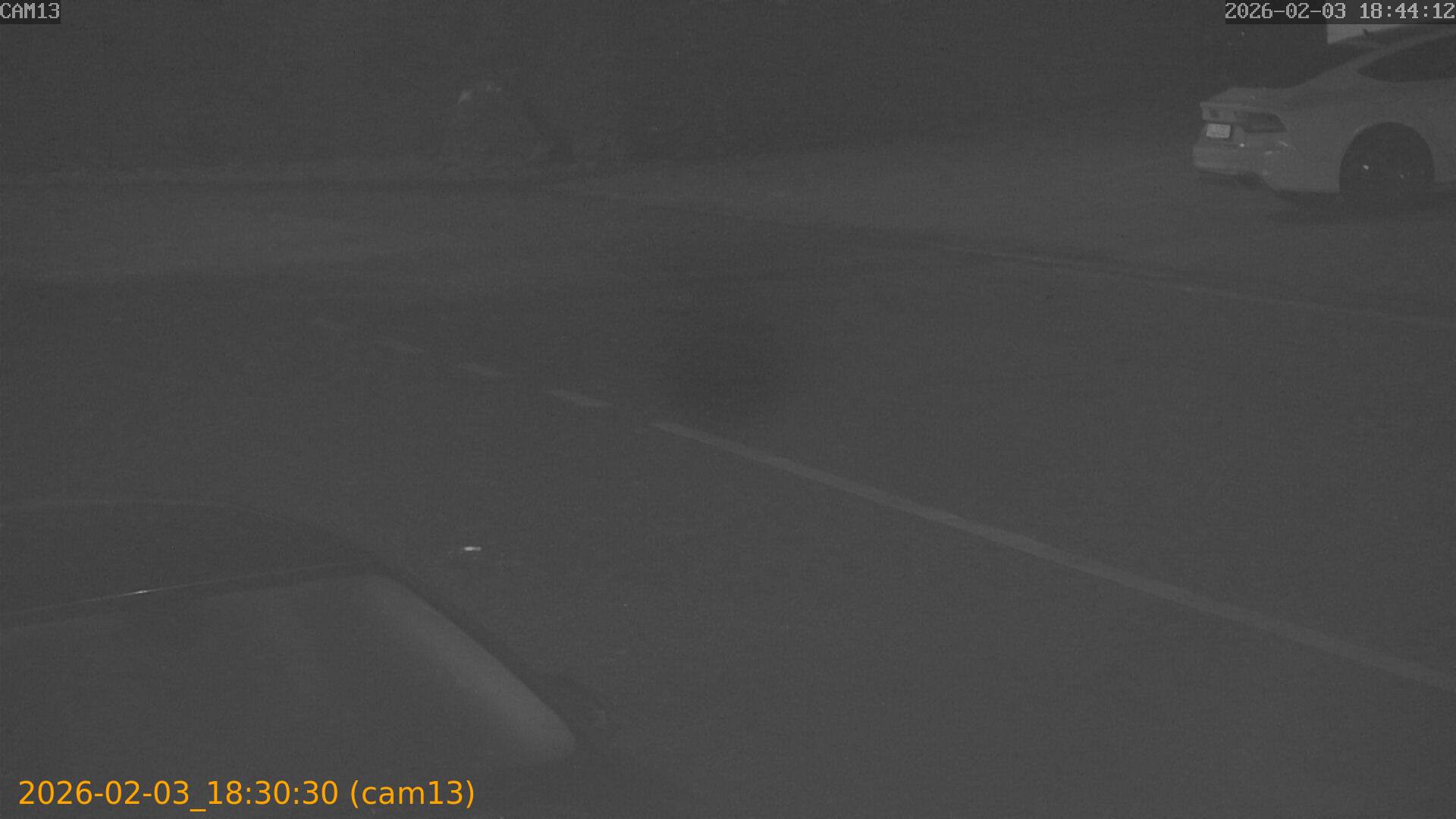 thumbnail_20260203183030