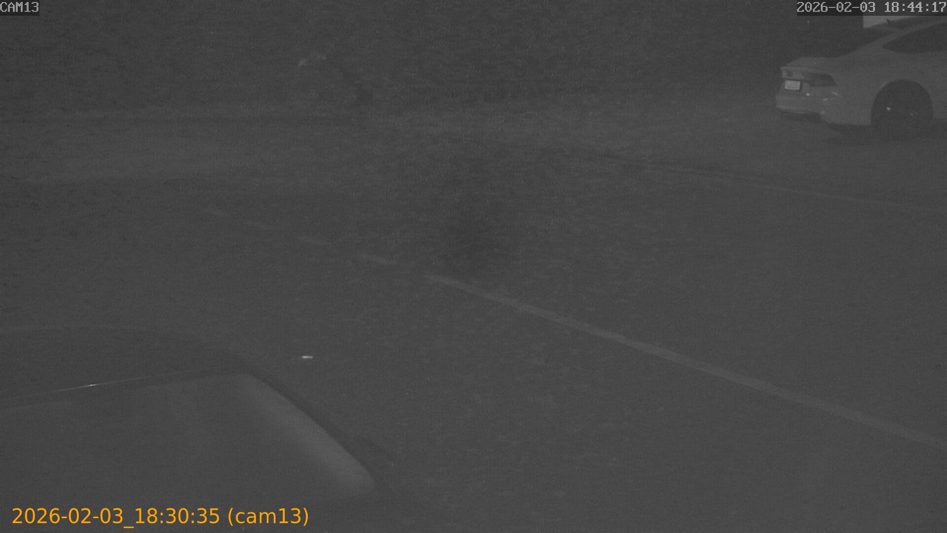 thumbnail_20260203183035