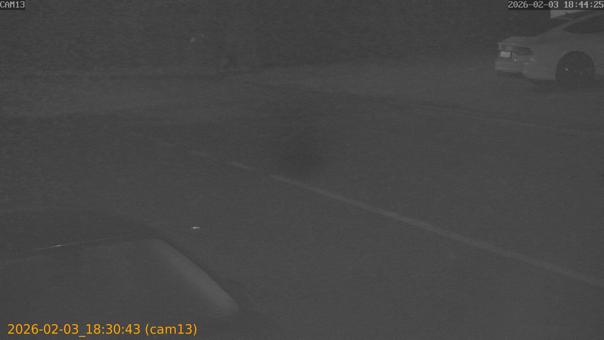 thumbnail_20260203183043