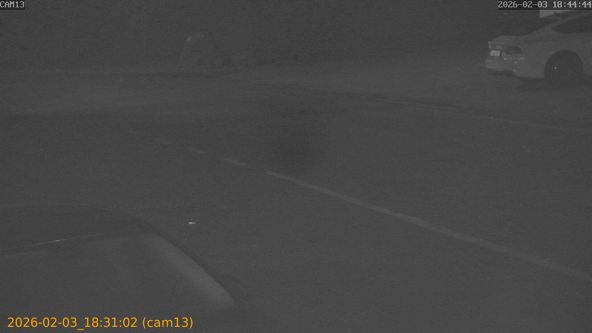 thumbnail_20260203183102