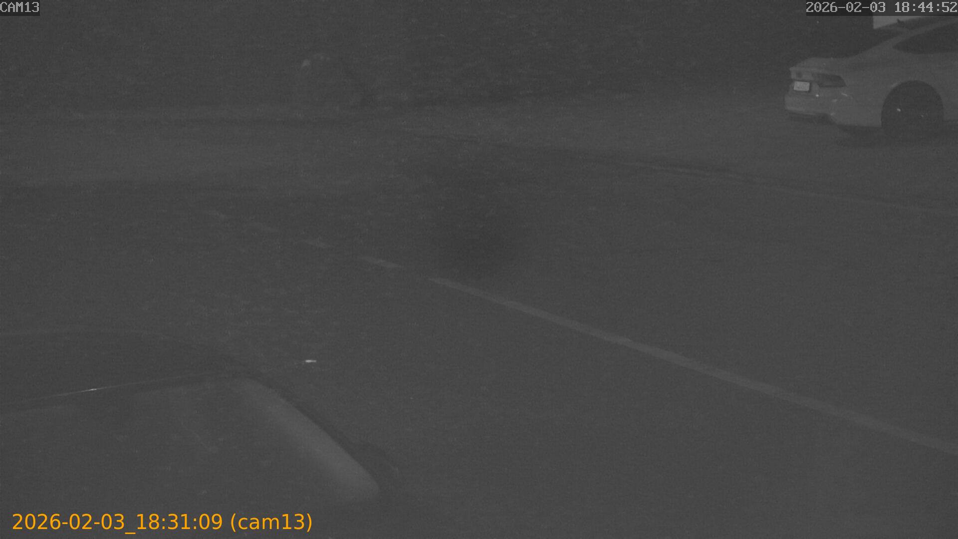 thumbnail_20260203183109