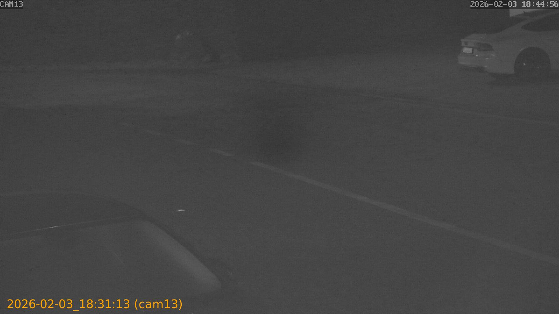 thumbnail_20260203183113