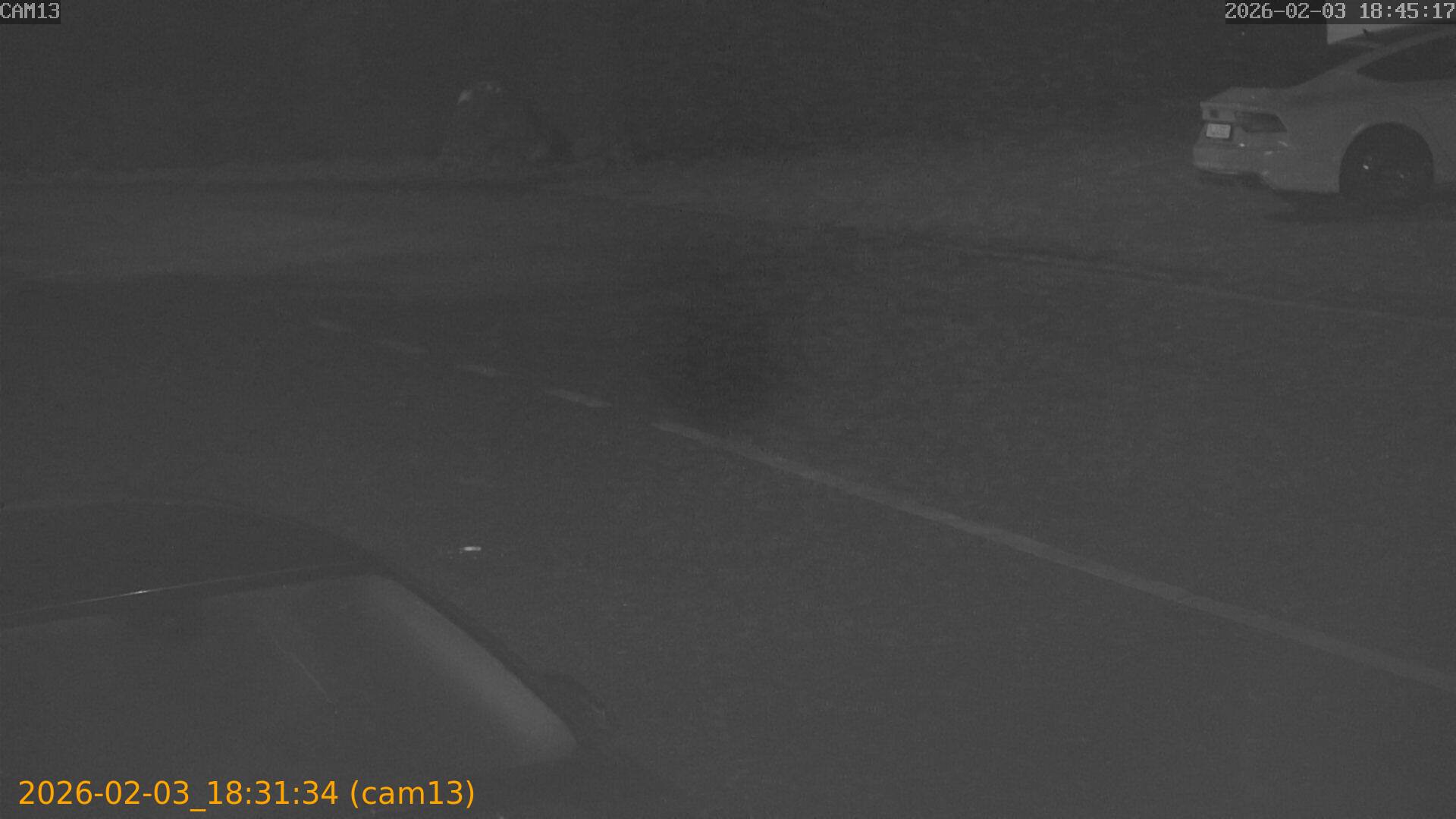 thumbnail_20260203183134