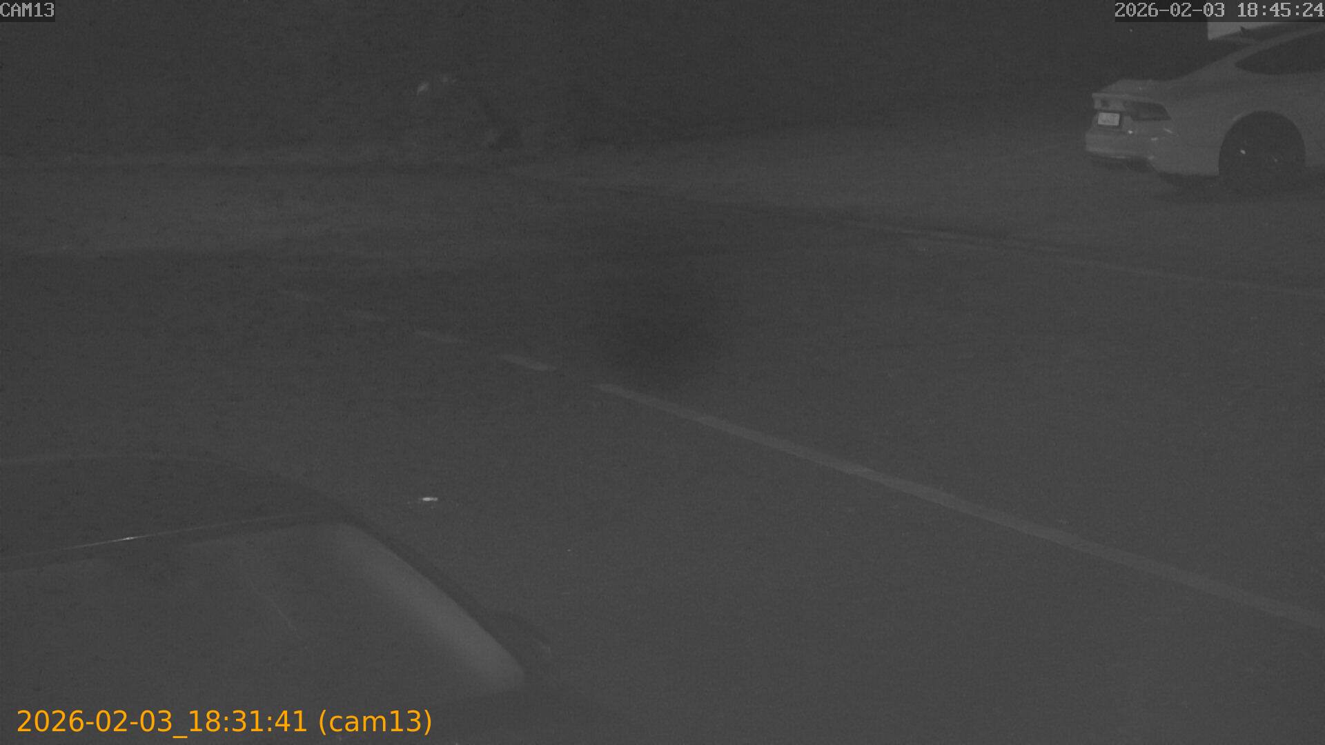 thumbnail_20260203183141