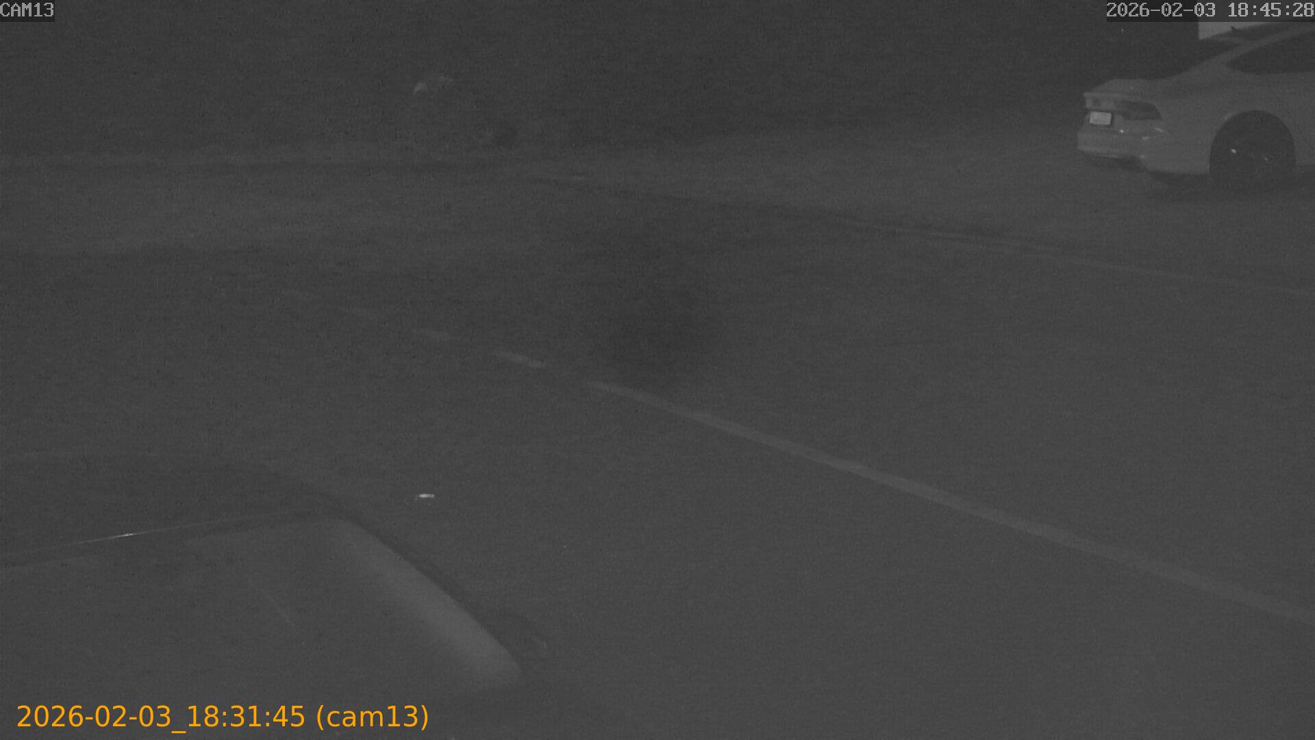 thumbnail_20260203183145