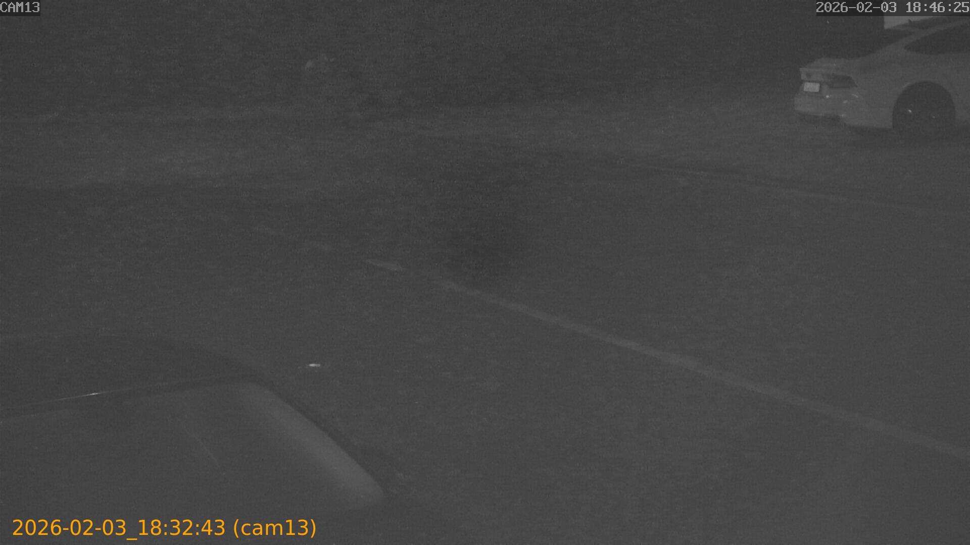 thumbnail_20260203183243