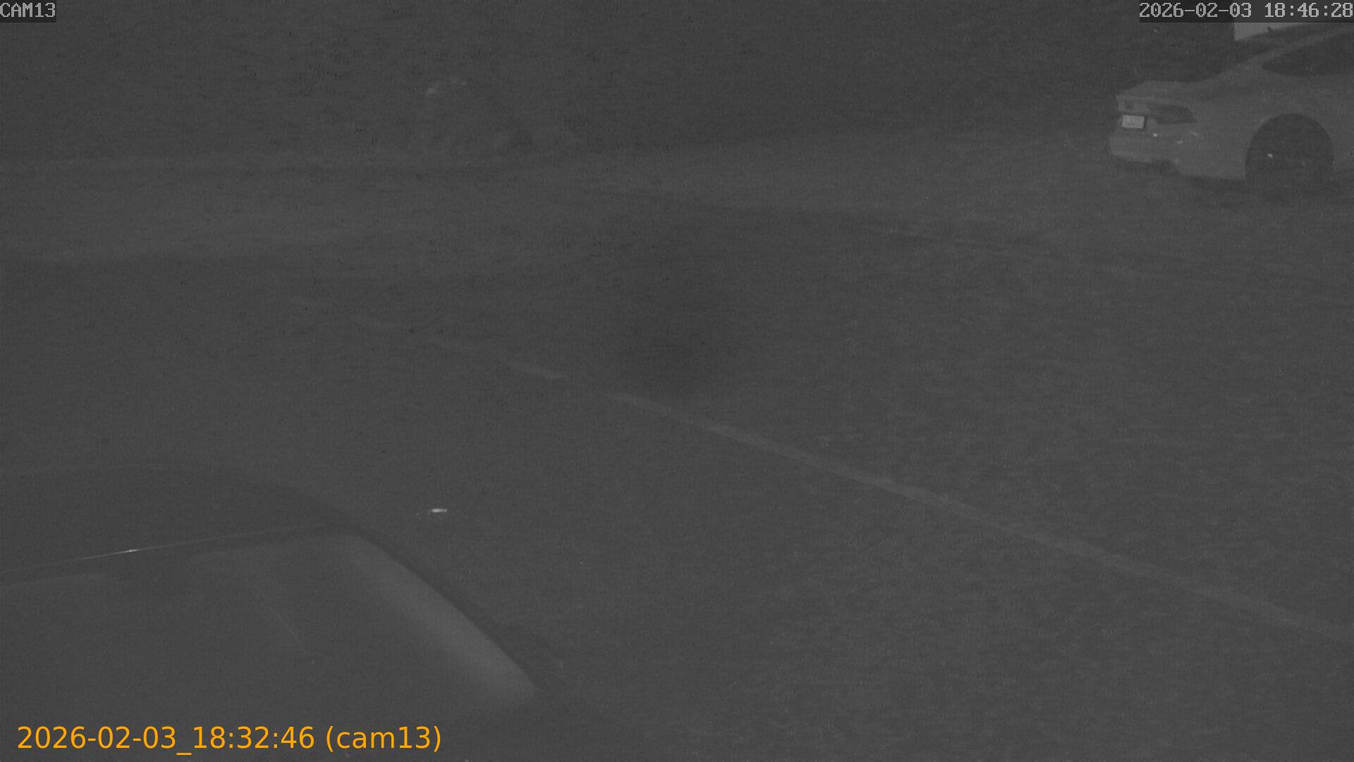 thumbnail_20260203183246