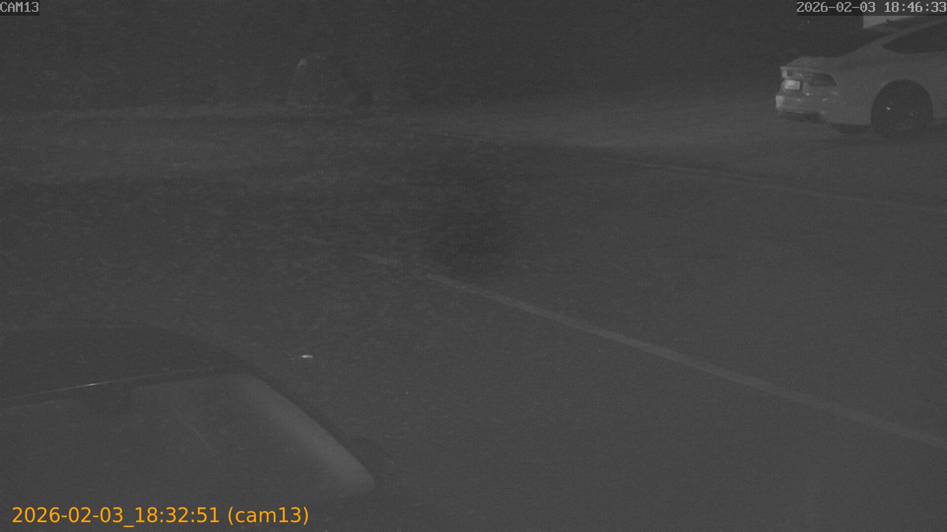 thumbnail_20260203183251