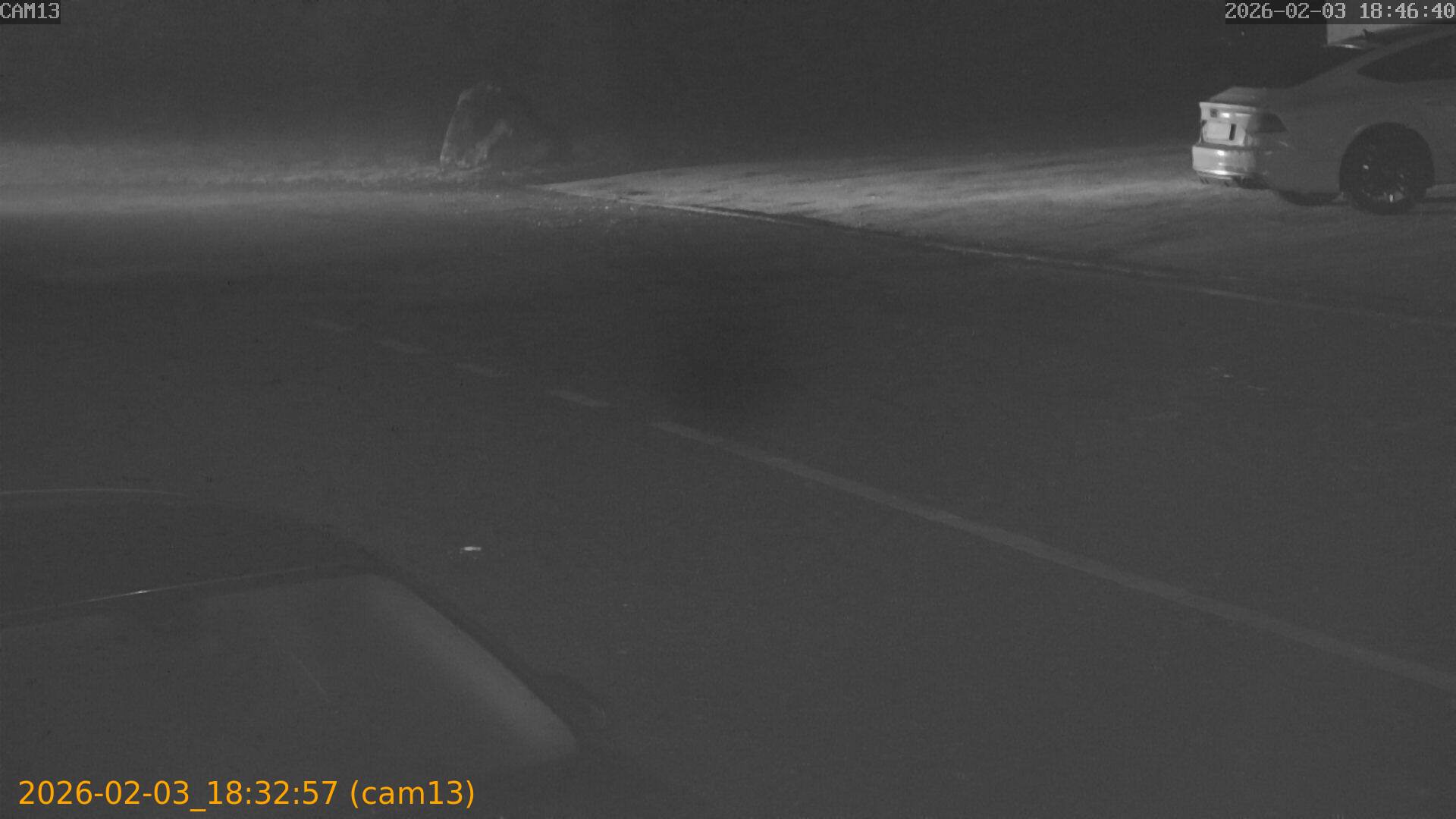 thumbnail_20260203183257