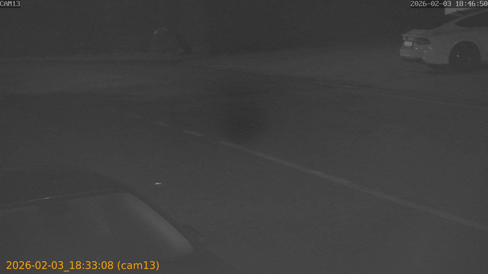 thumbnail_20260203183308