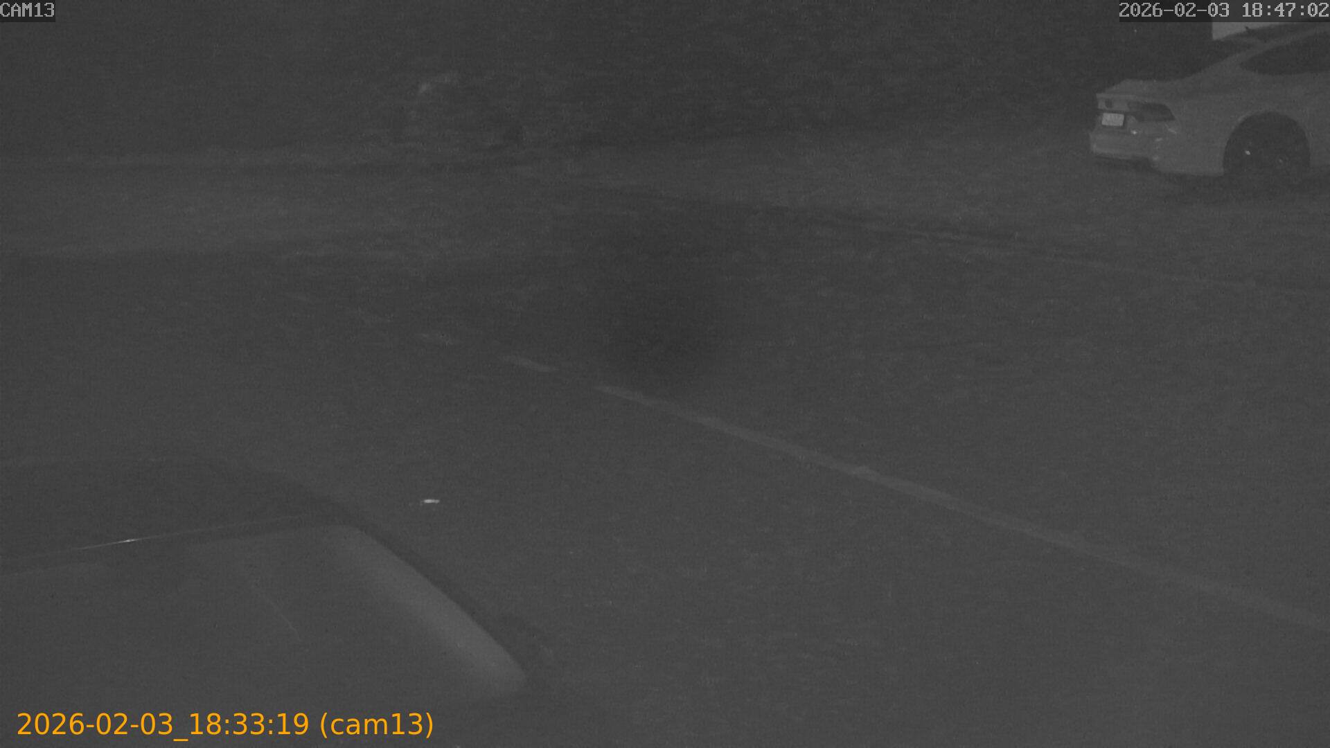 thumbnail_20260203183319