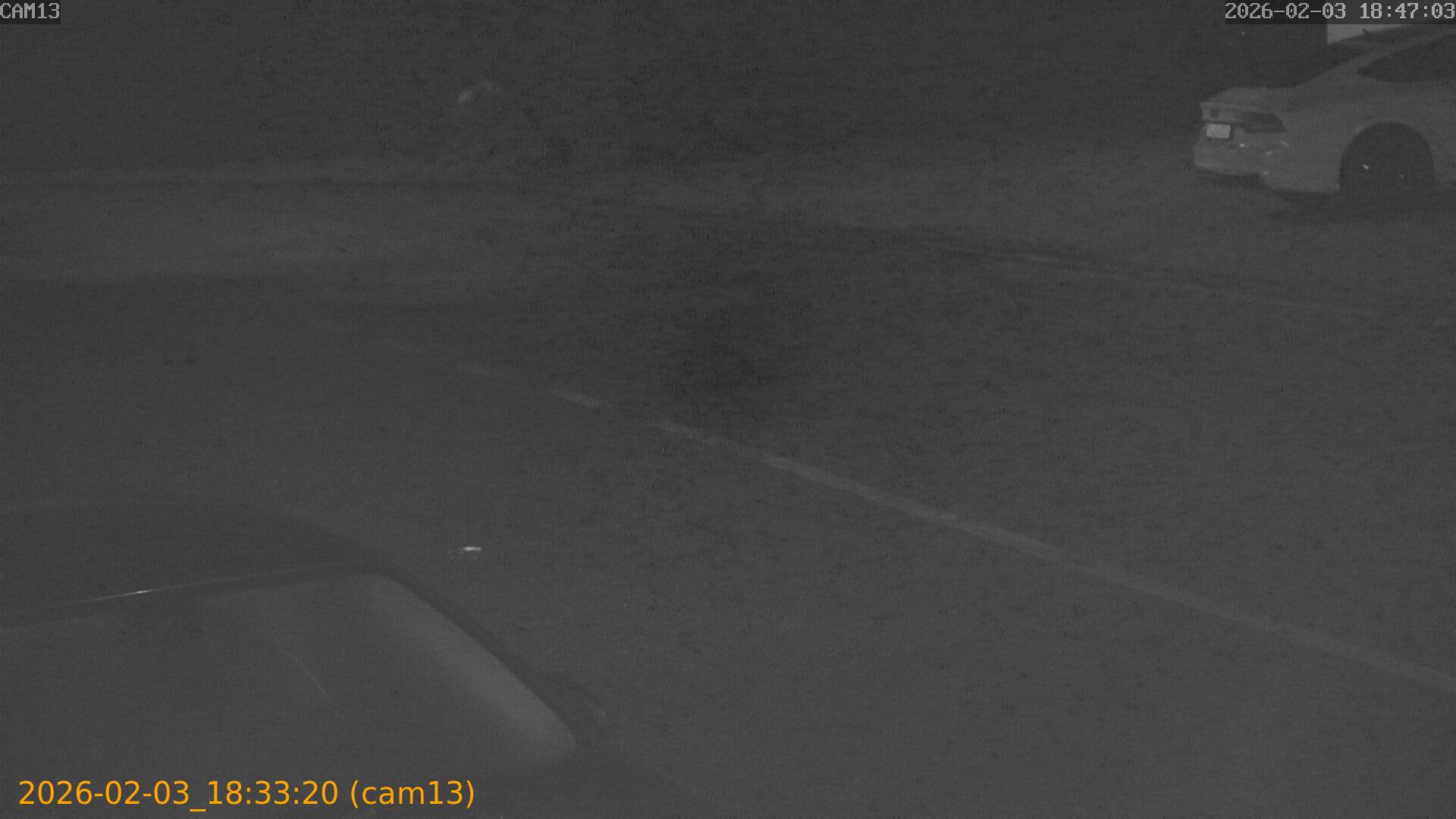 thumbnail_20260203183320