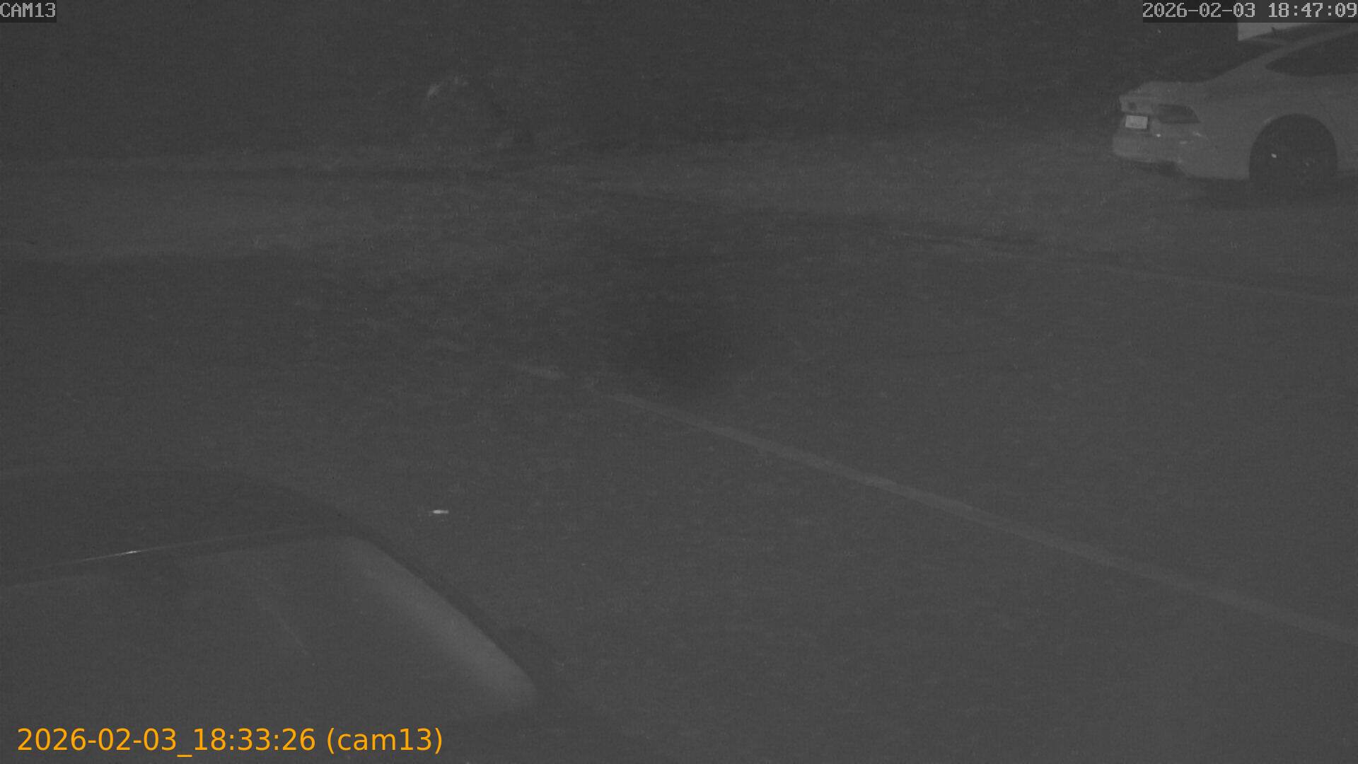 thumbnail_20260203183326