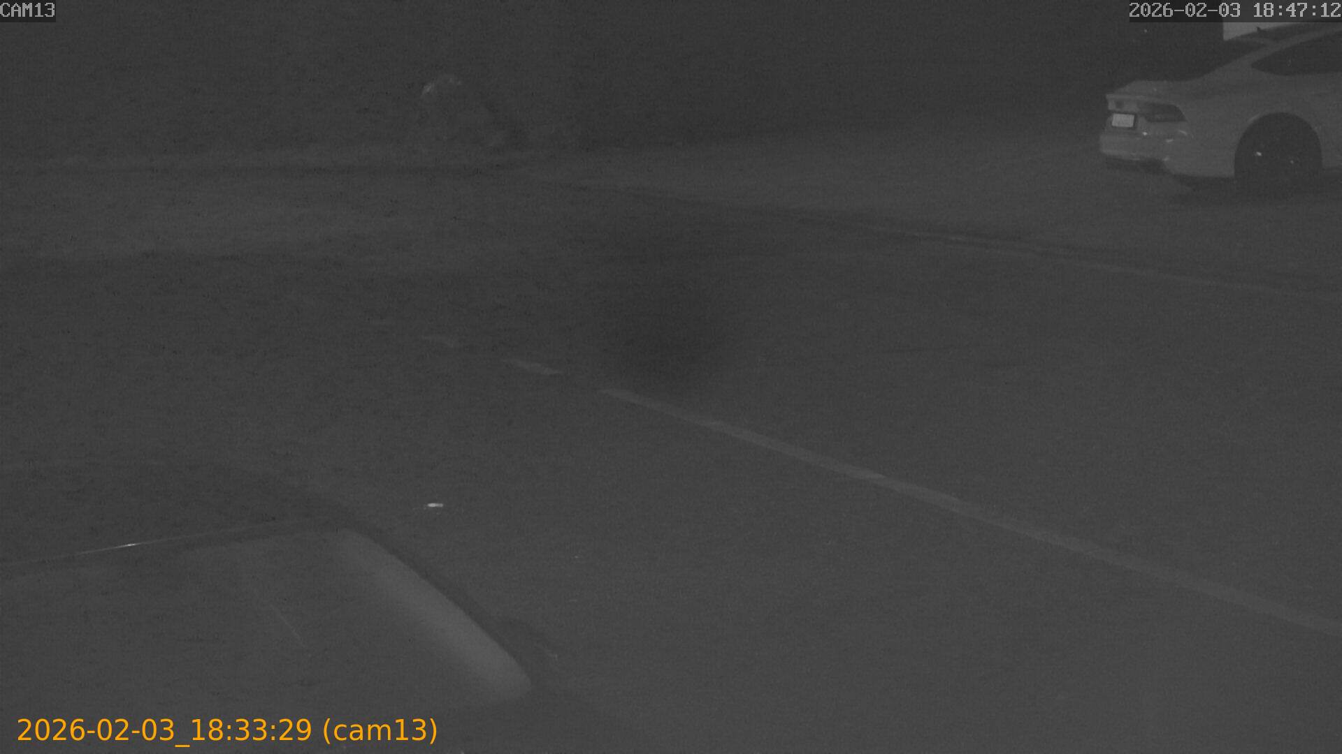 thumbnail_20260203183329