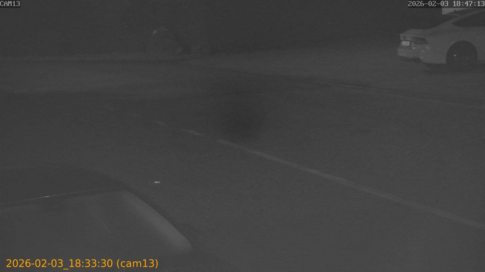 thumbnail_20260203183330