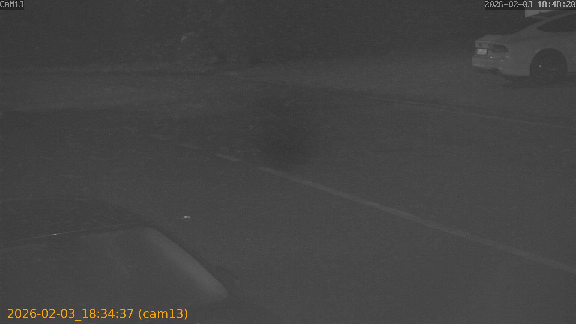 thumbnail_20260203183437