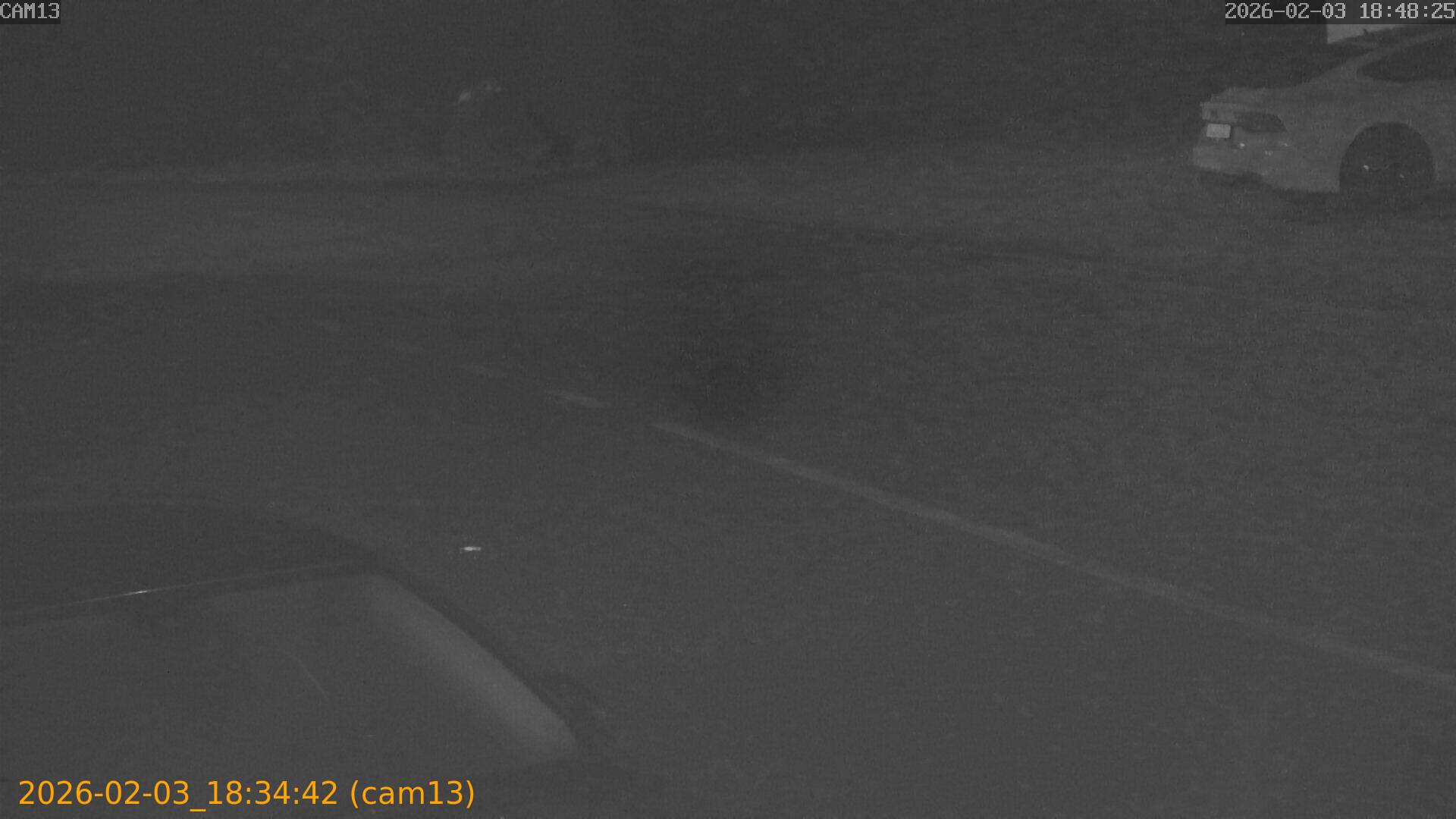 thumbnail_20260203183442