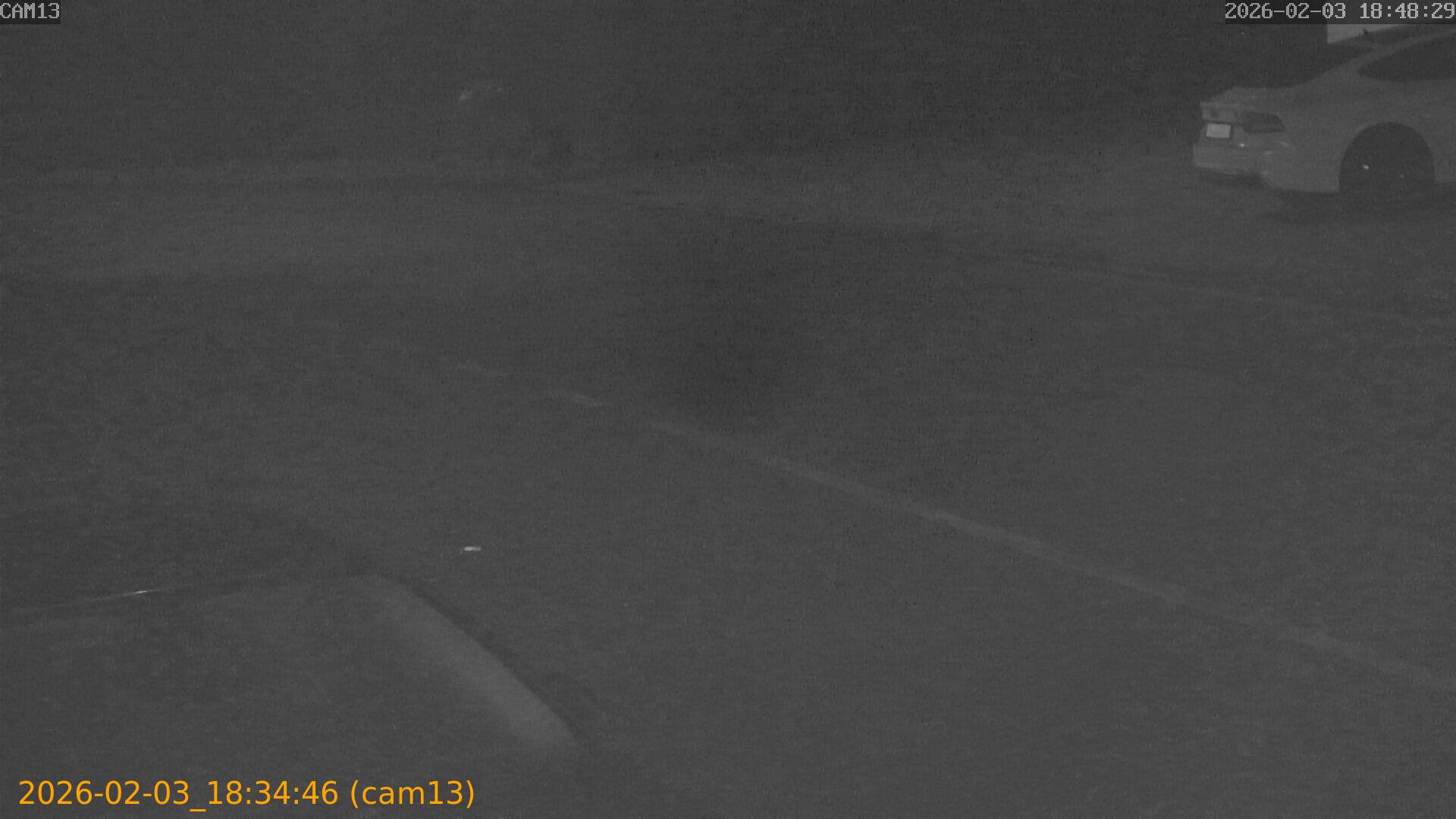 thumbnail_20260203183446