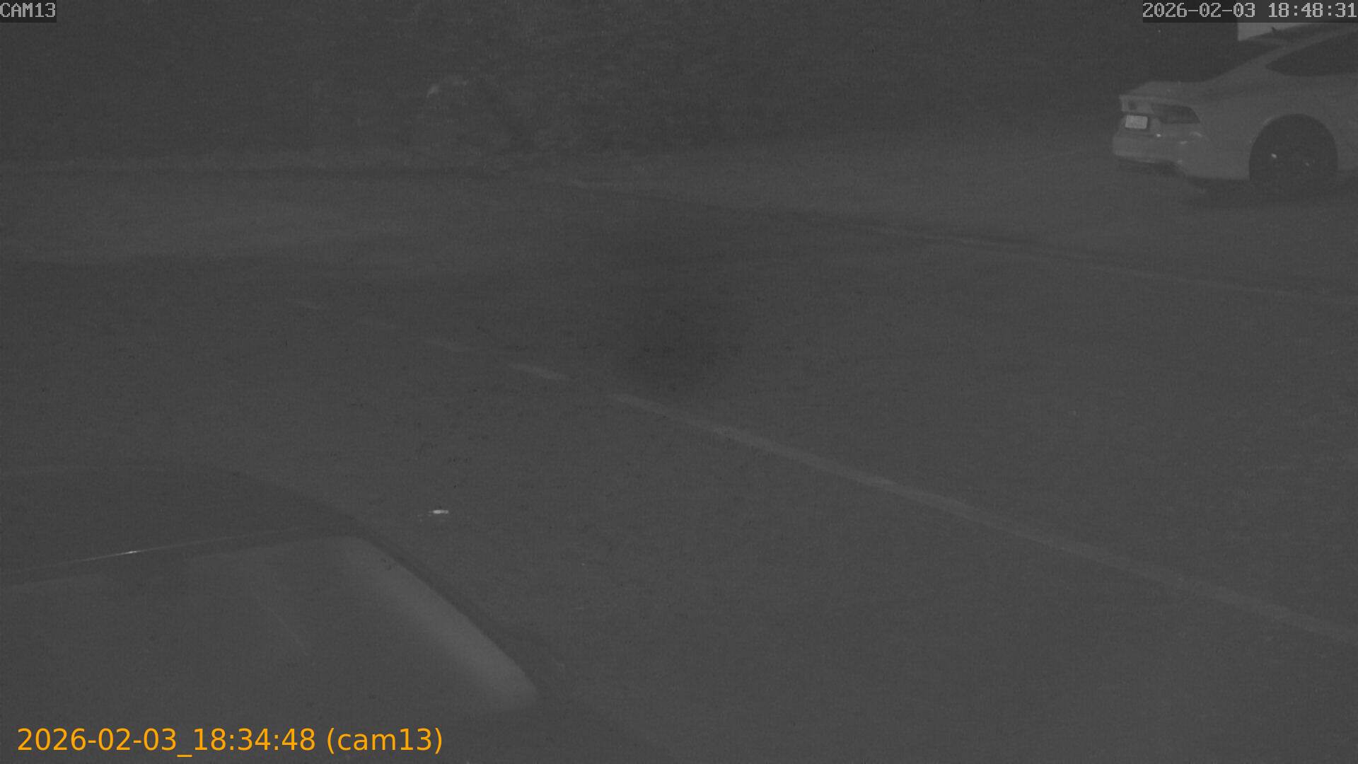 thumbnail_20260203183448