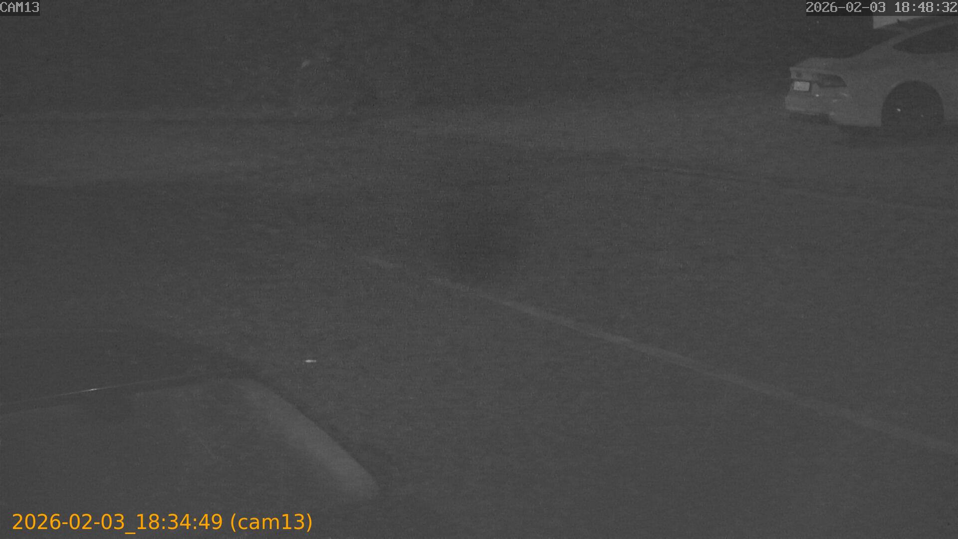 thumbnail_20260203183449