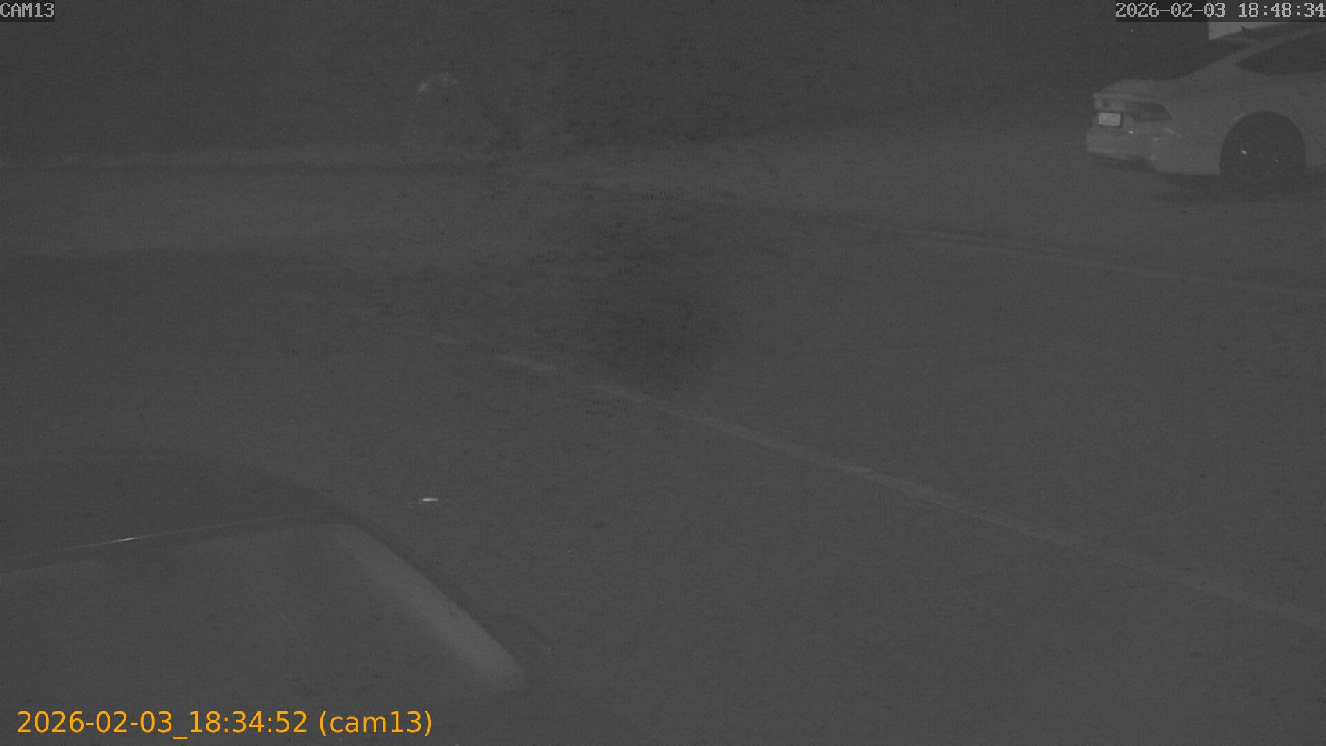 thumbnail_20260203183451