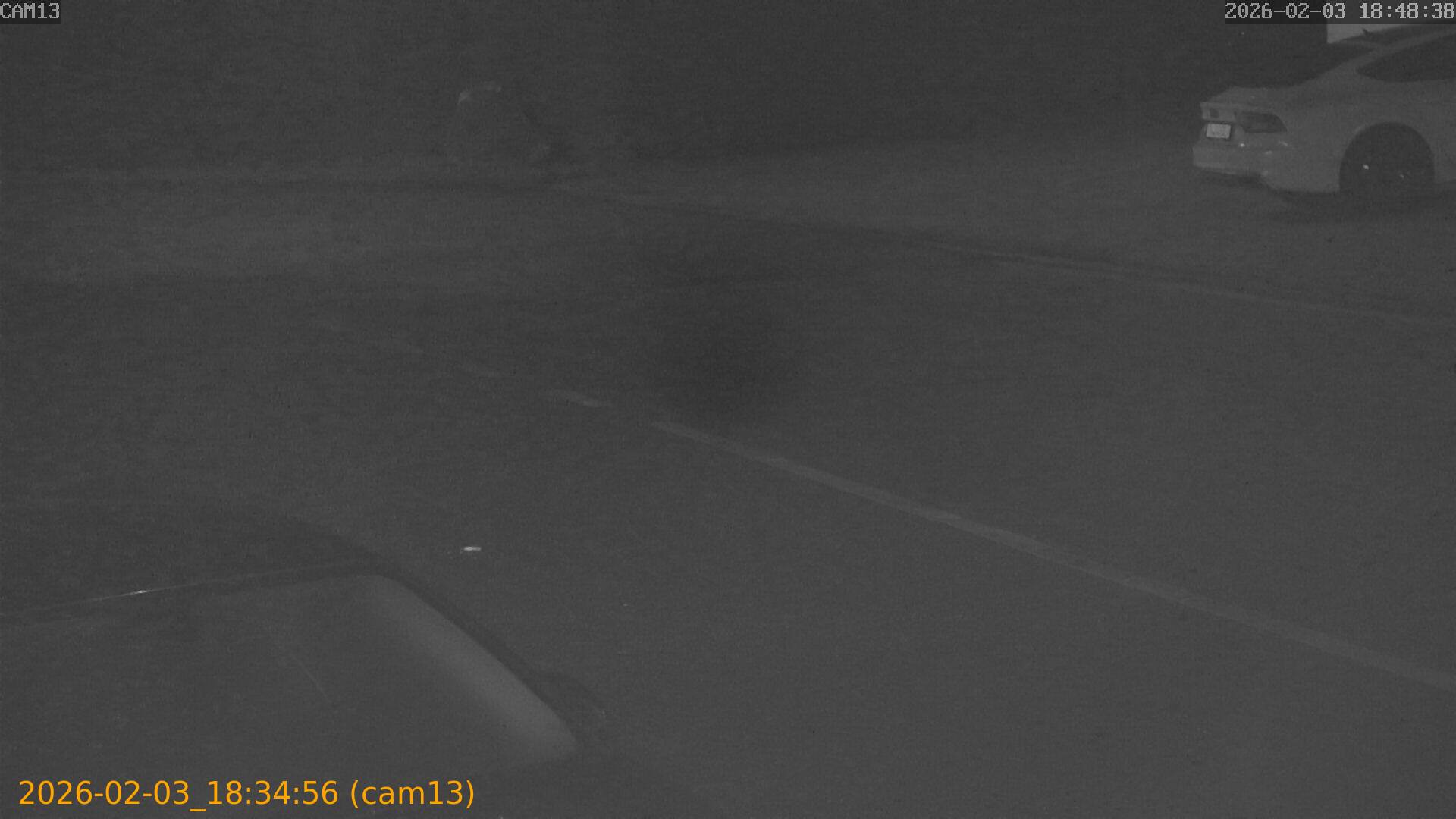 thumbnail_20260203183456