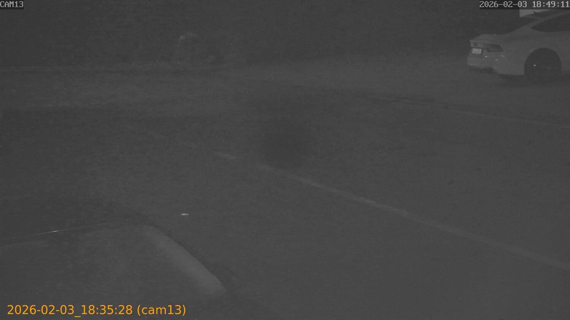 thumbnail_20260203183528