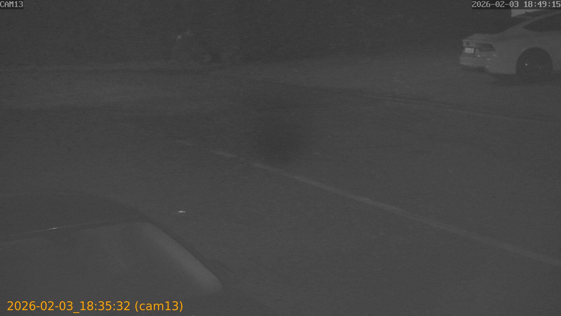 thumbnail_20260203183532