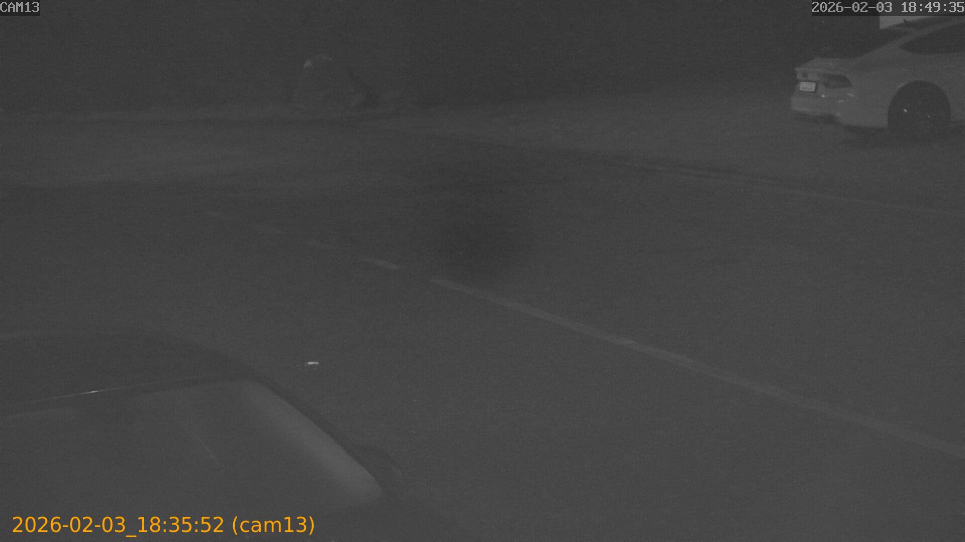 thumbnail_20260203183552