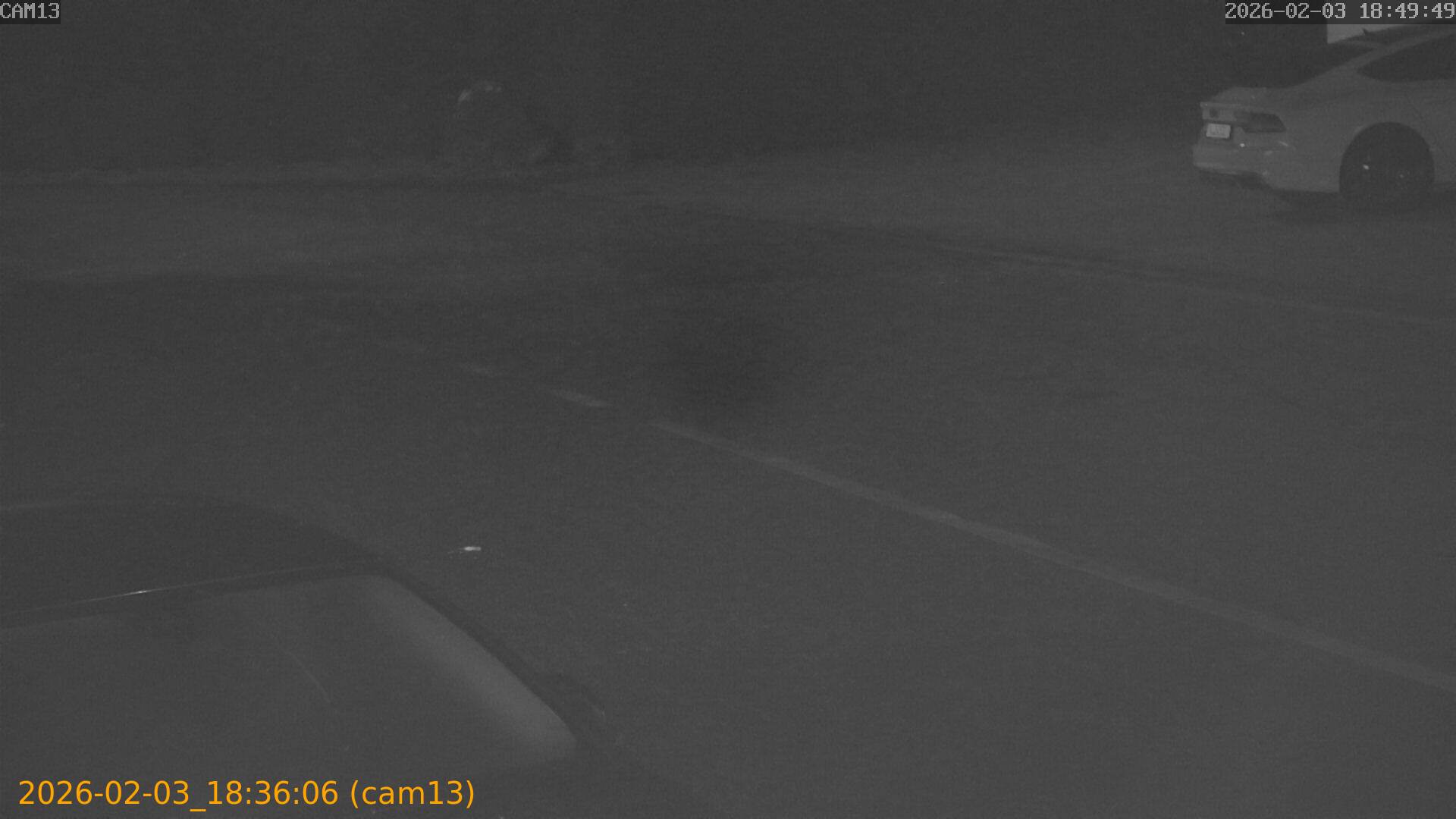 thumbnail_20260203183606