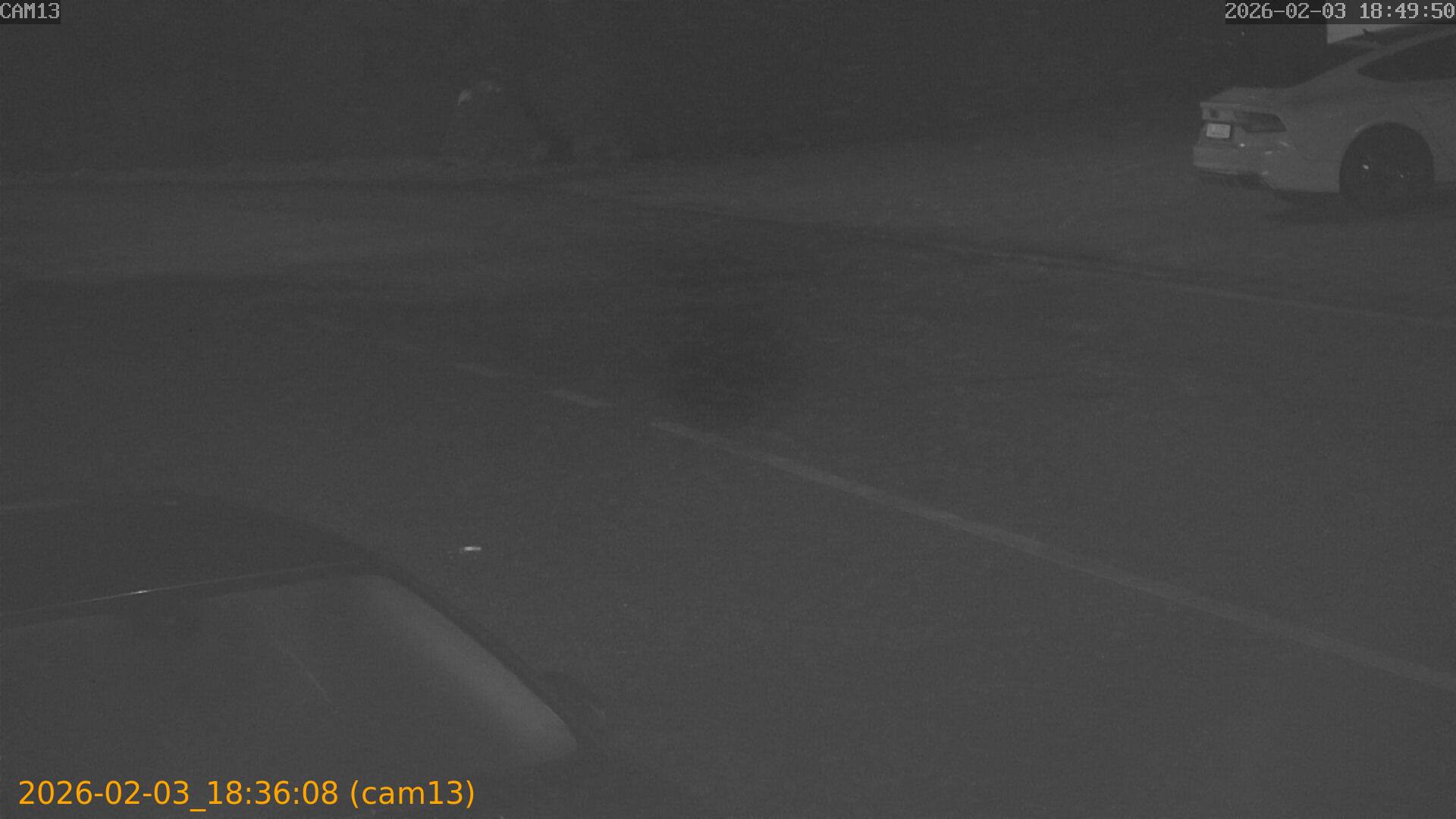 thumbnail_20260203183608