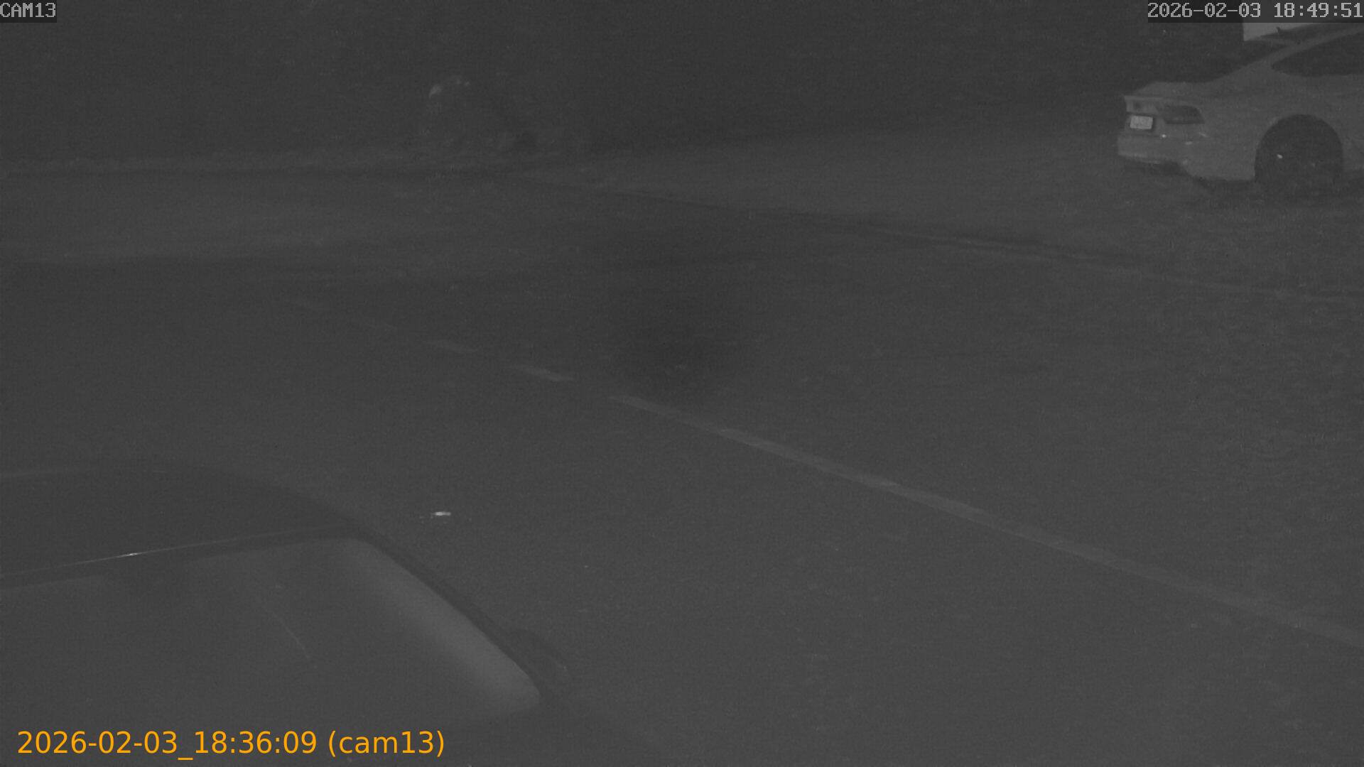 thumbnail_20260203183609