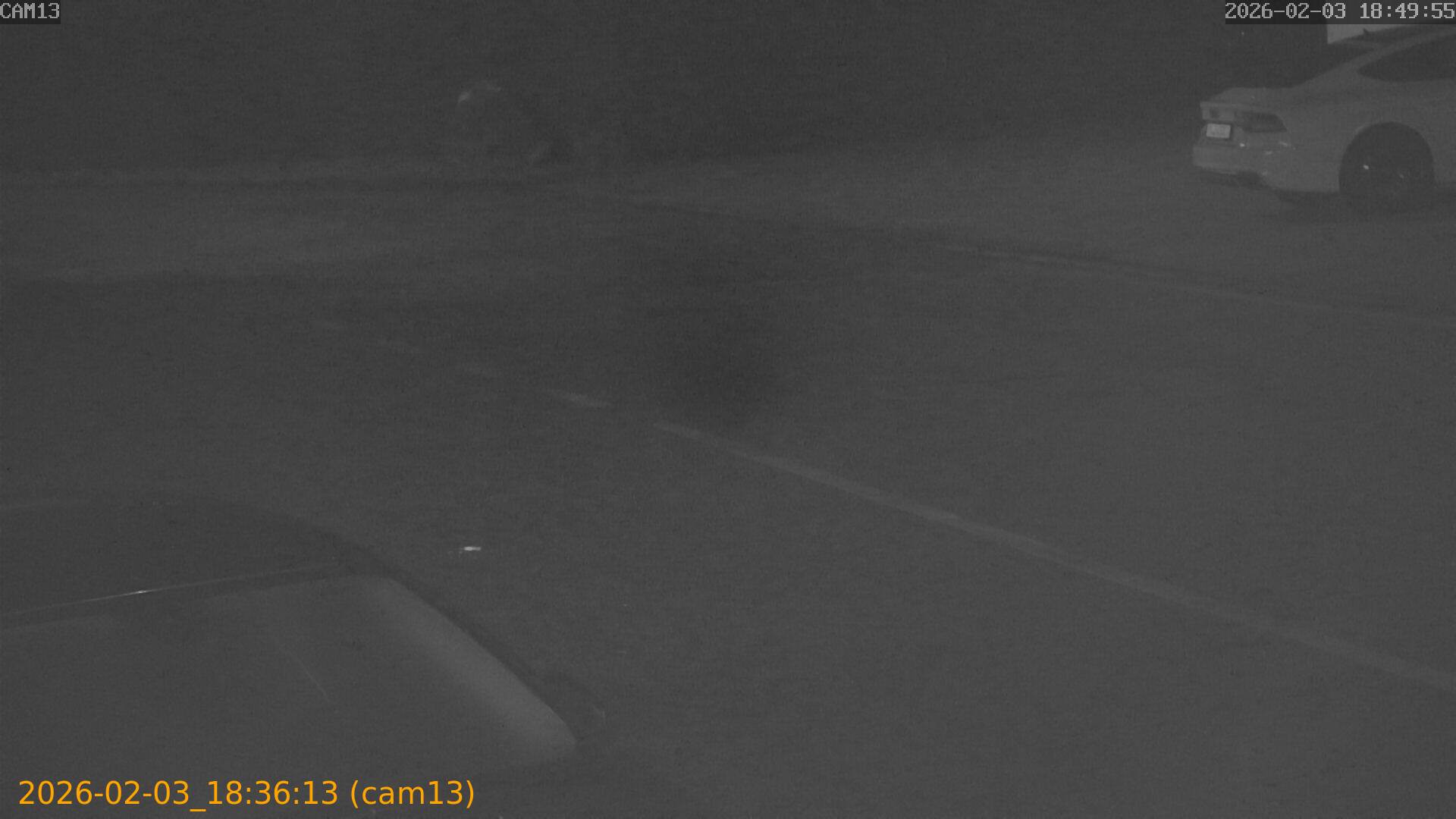 thumbnail_20260203183613