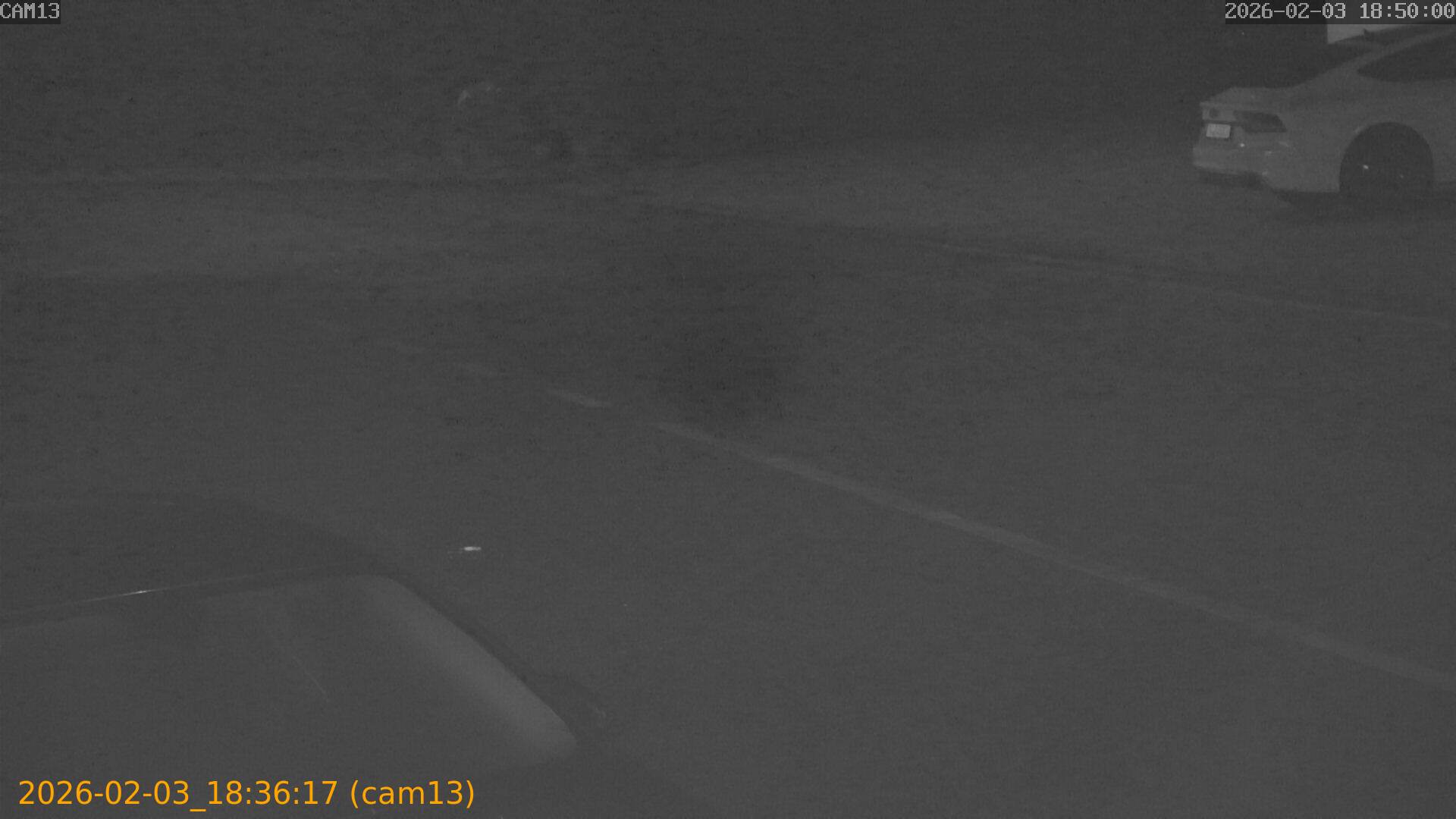 thumbnail_20260203183617