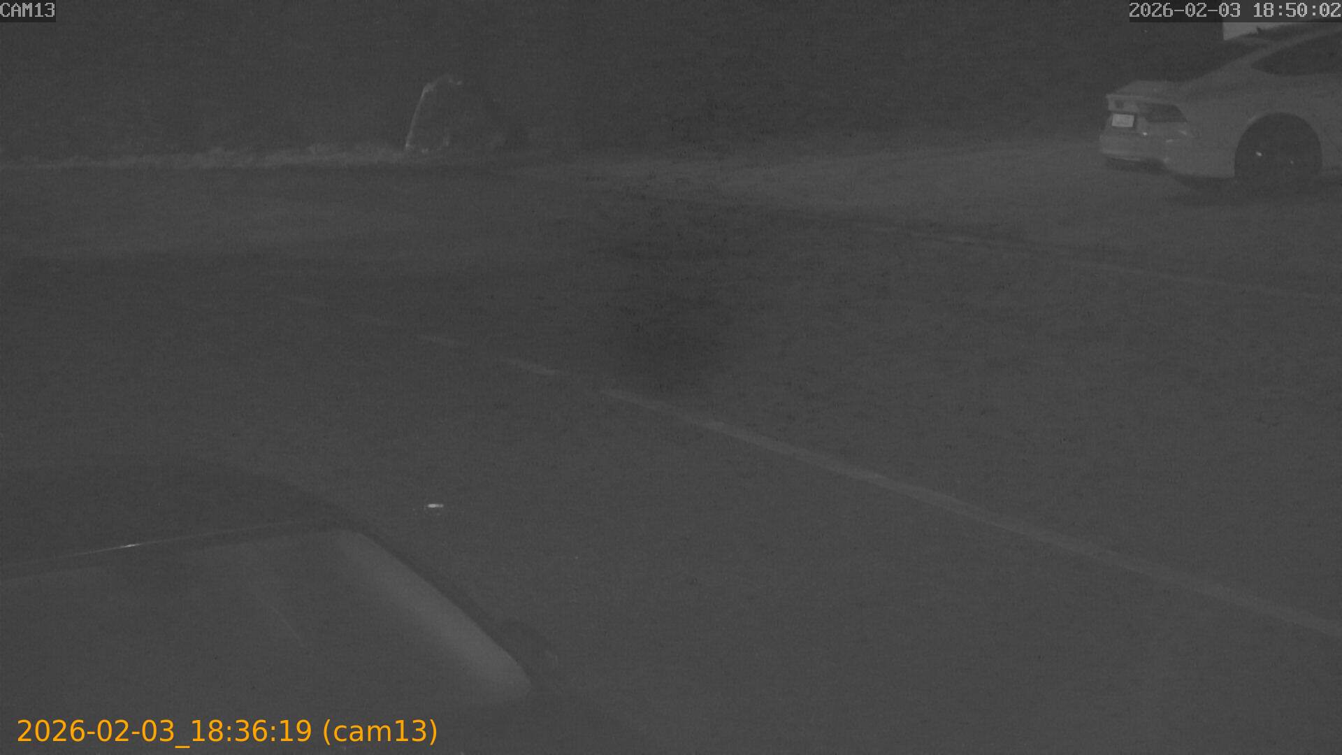 thumbnail_20260203183619