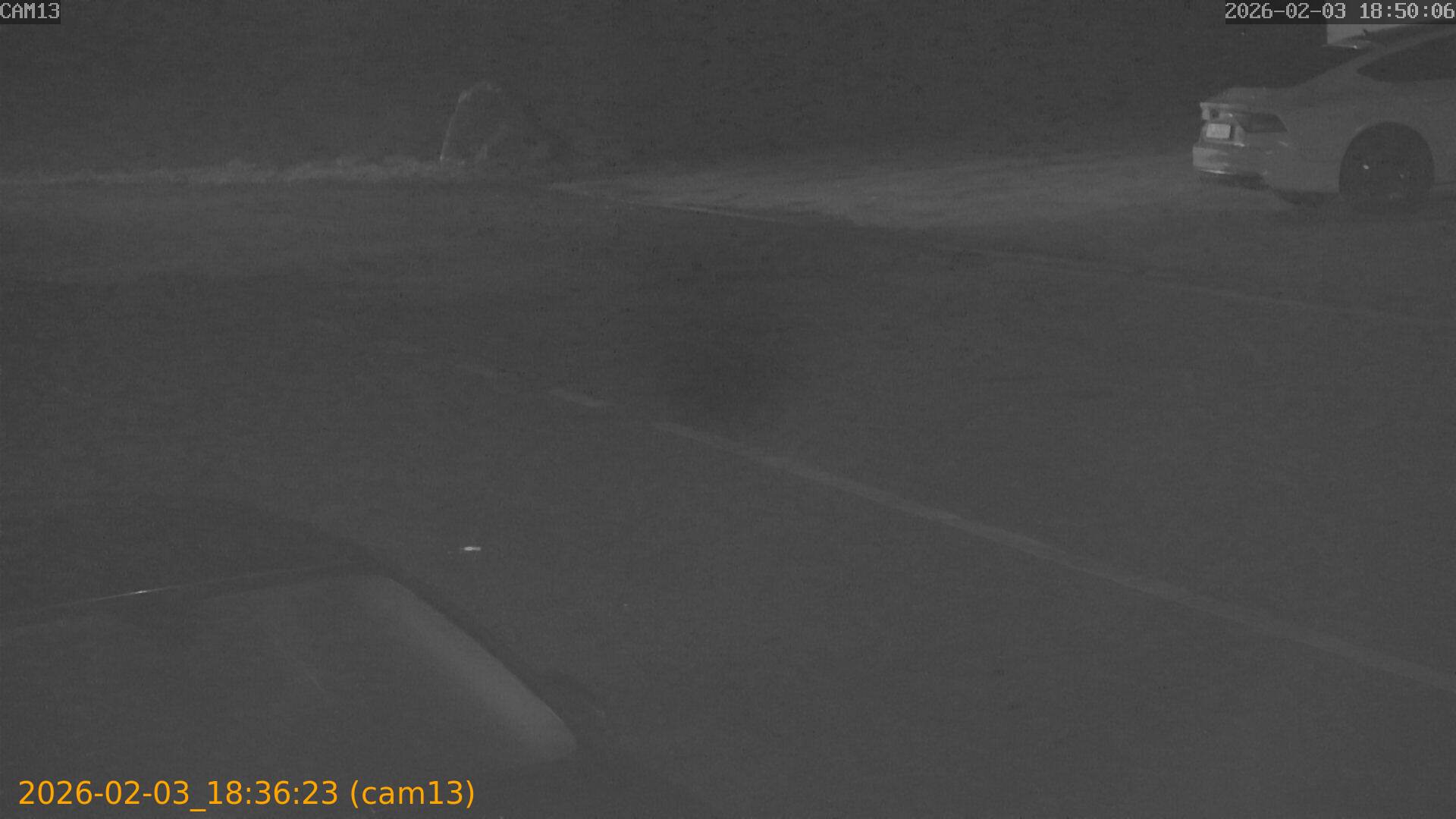 thumbnail_20260203183623