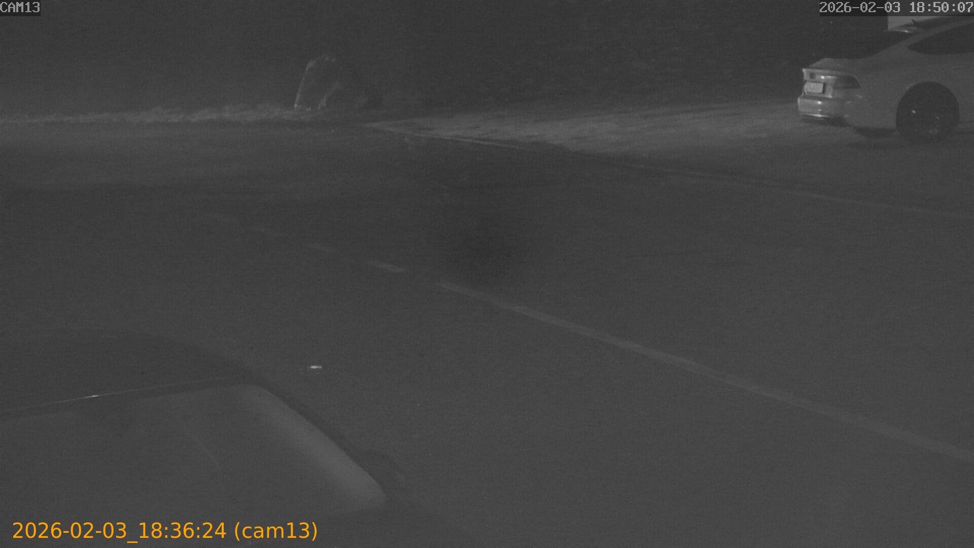 thumbnail_20260203183624