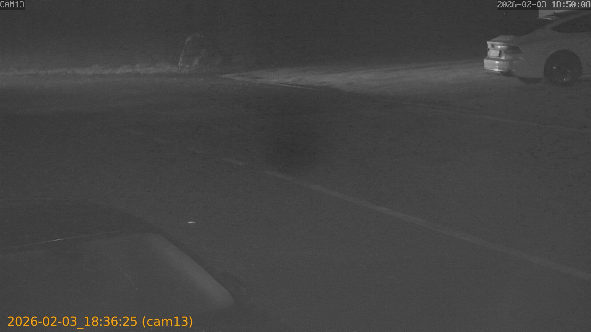 thumbnail_20260203183625