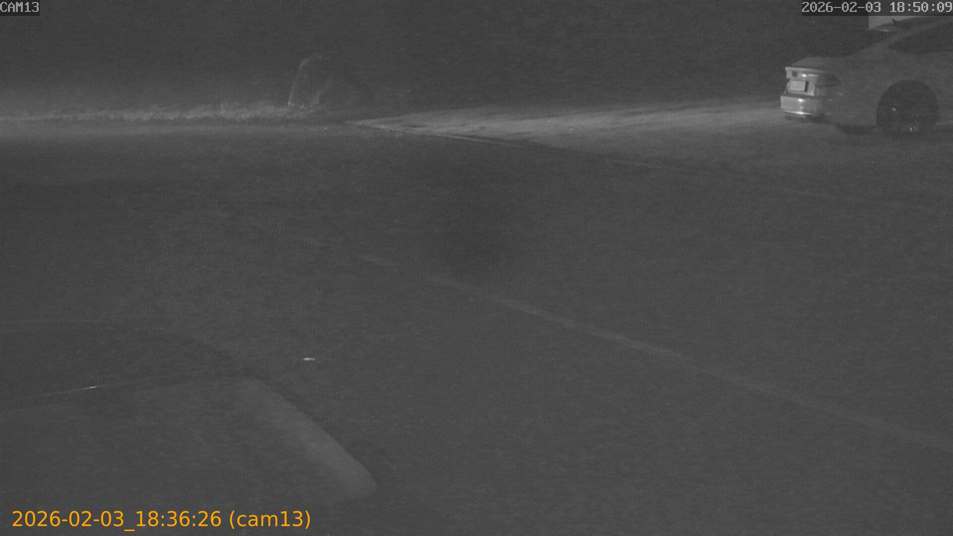 thumbnail_20260203183626