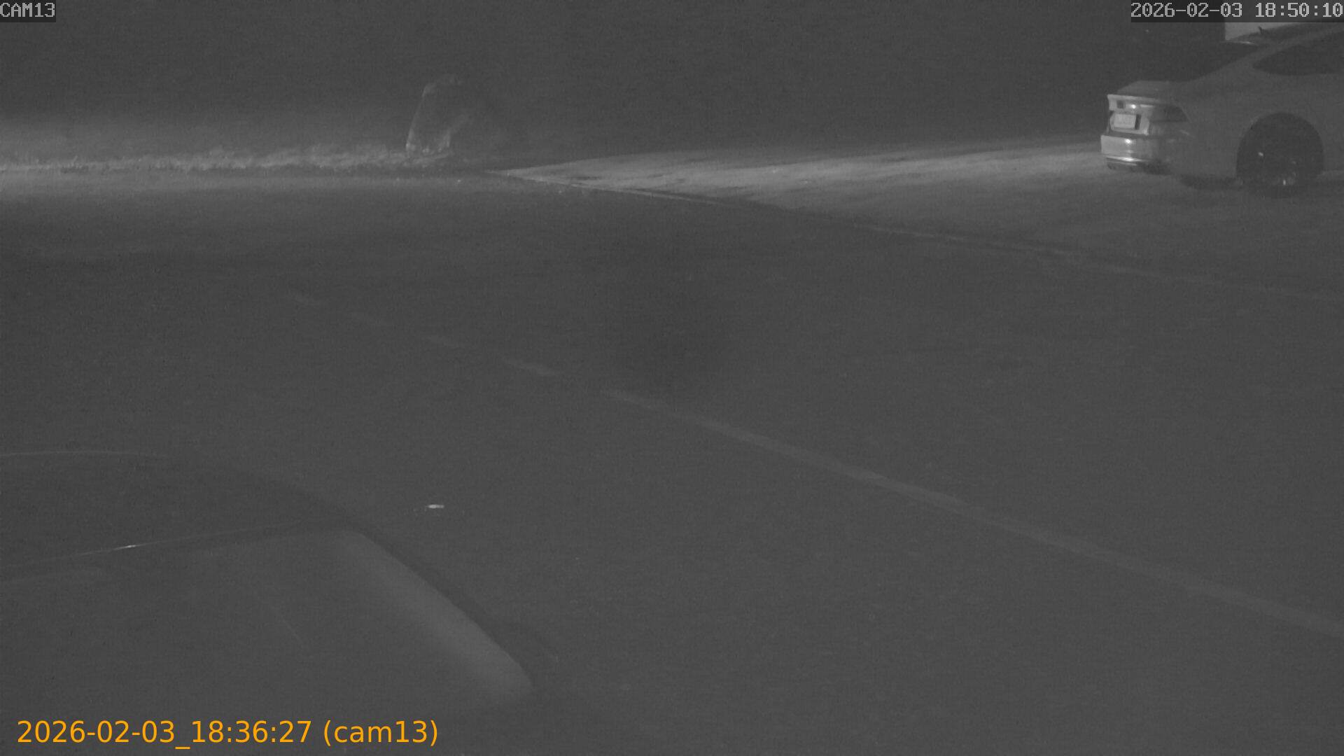 thumbnail_20260203183627