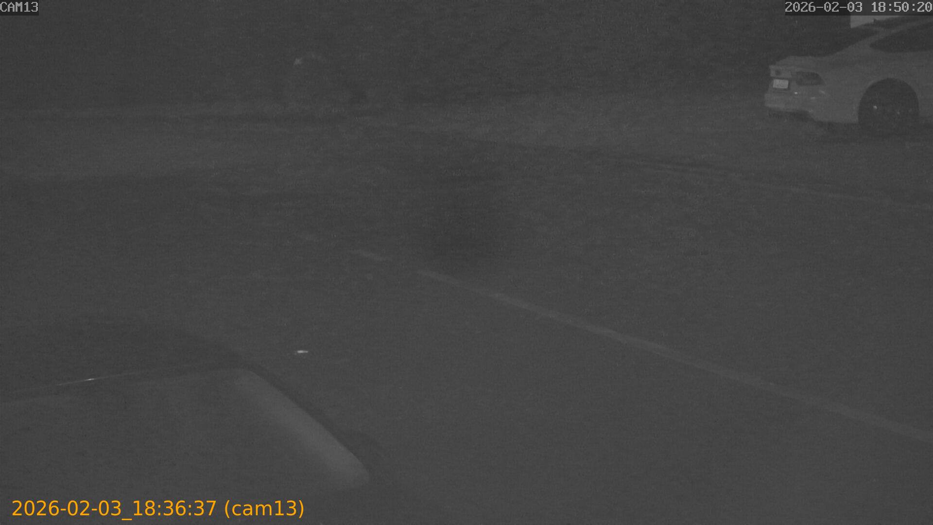 thumbnail_20260203183637