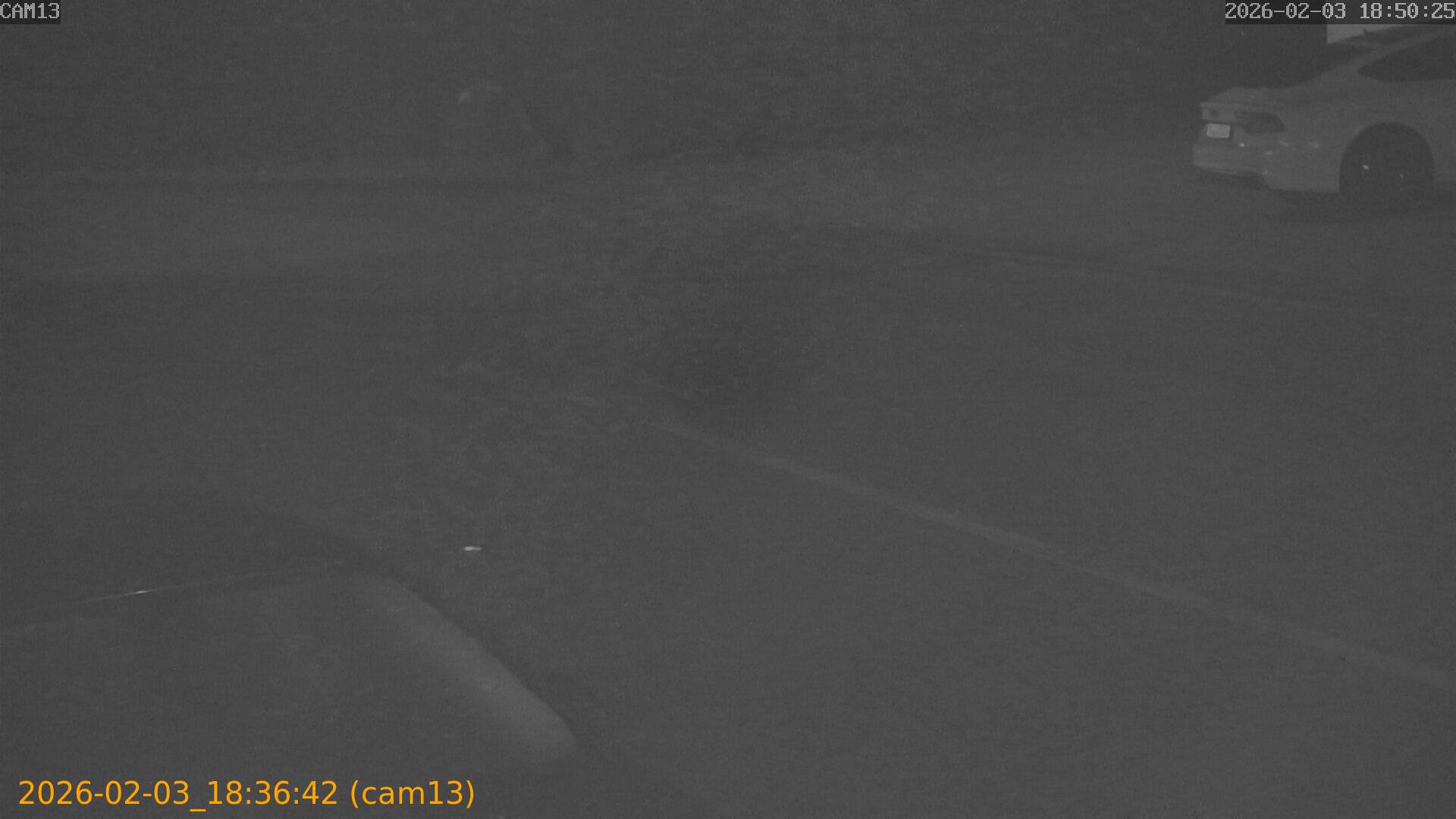 thumbnail_20260203183642