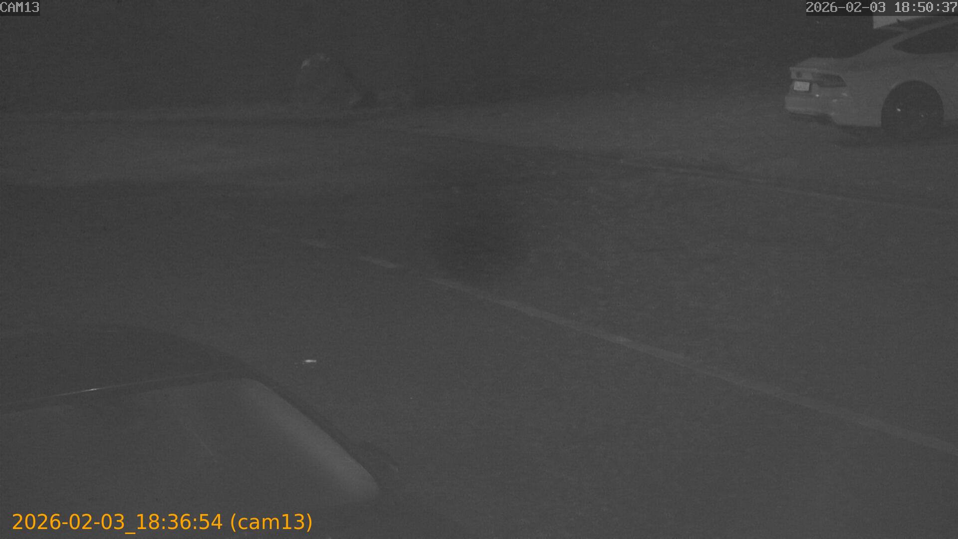 thumbnail_20260203183654