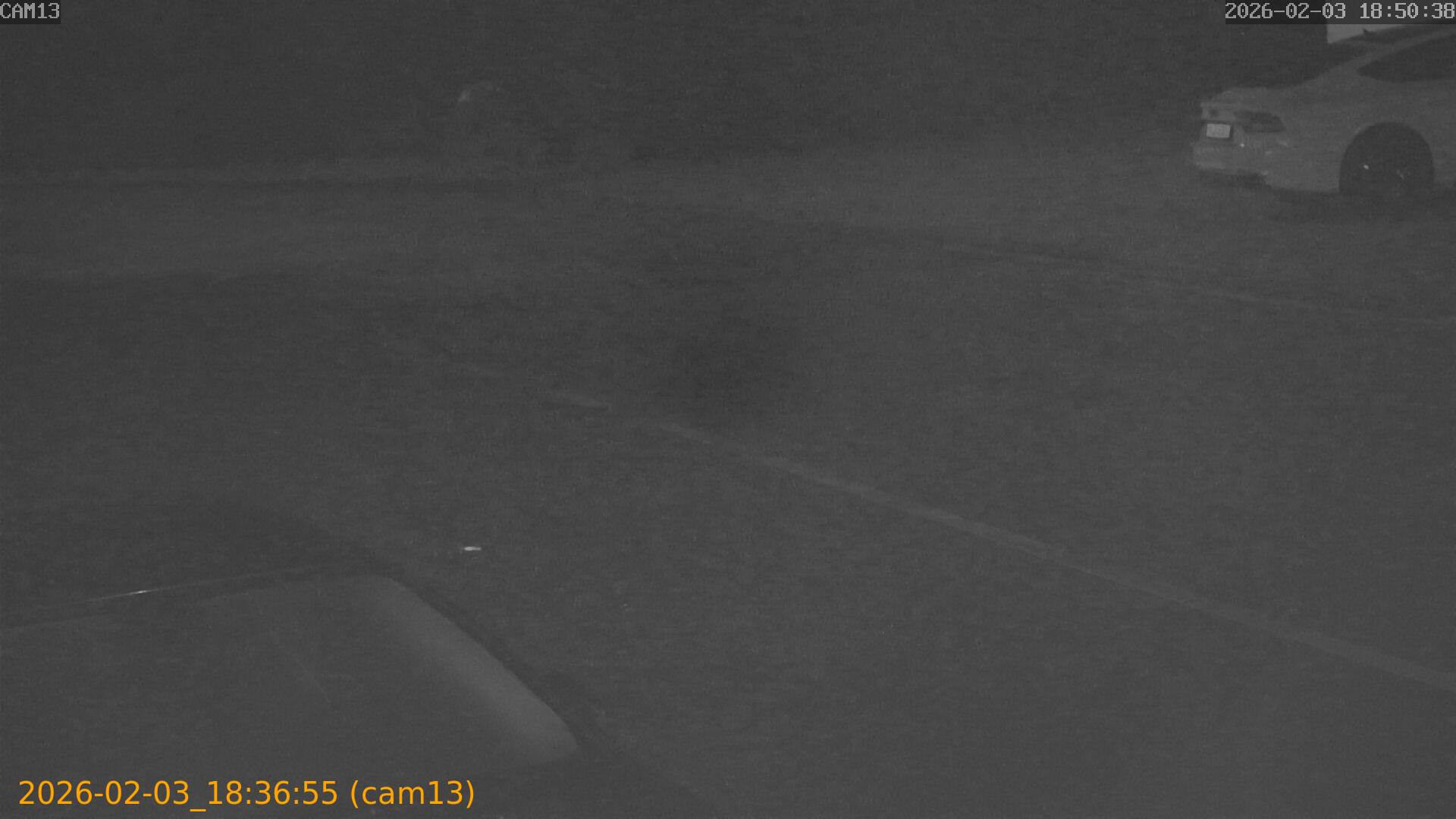 thumbnail_20260203183655