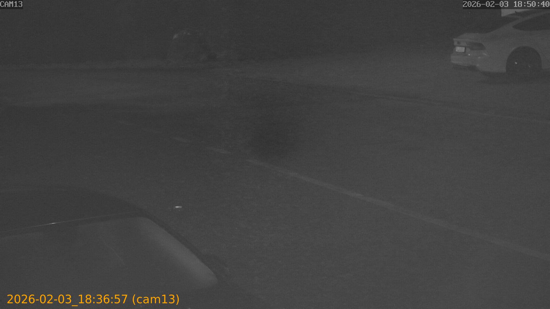 thumbnail_20260203183657